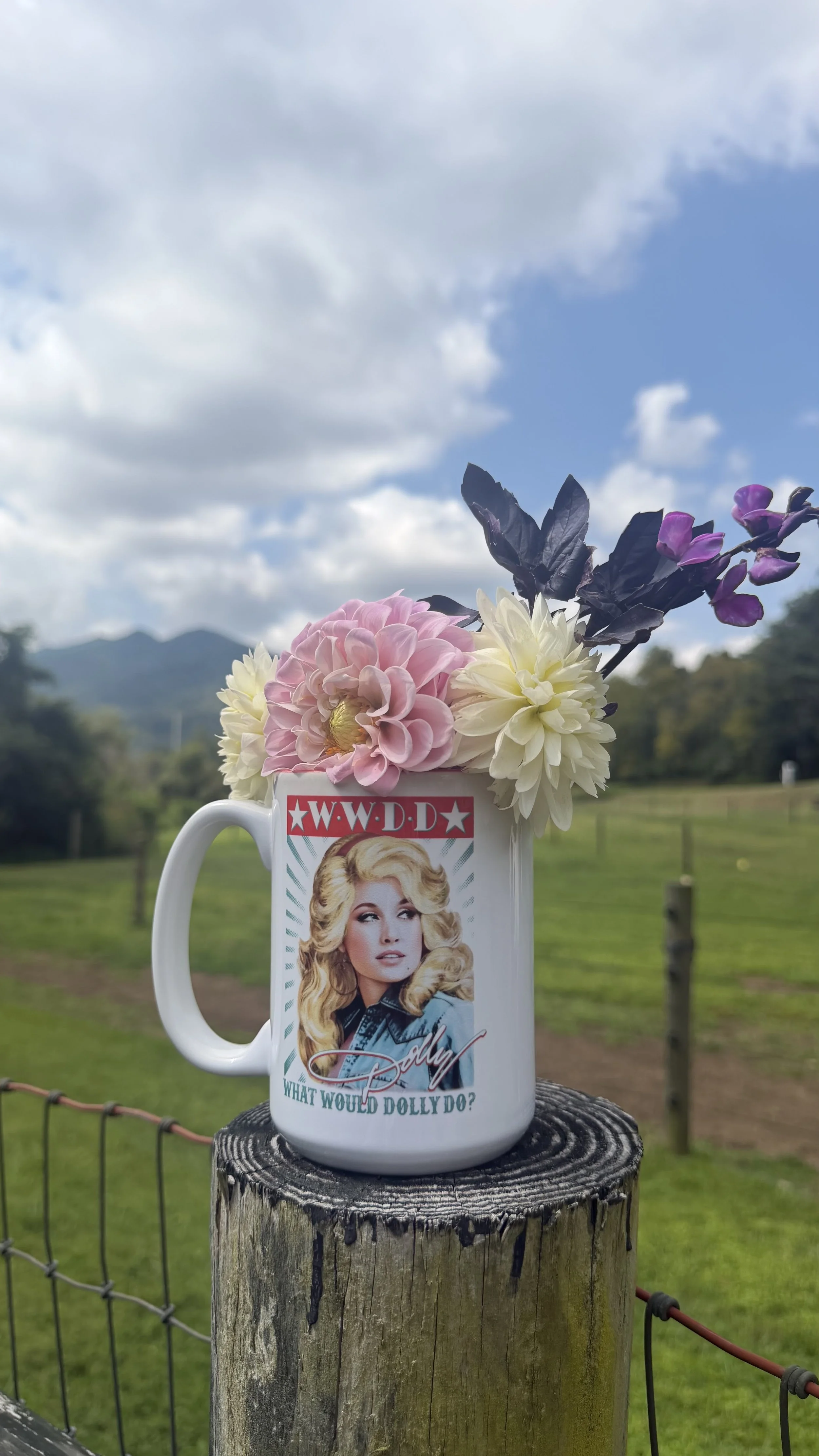 What Would Dolly Do?