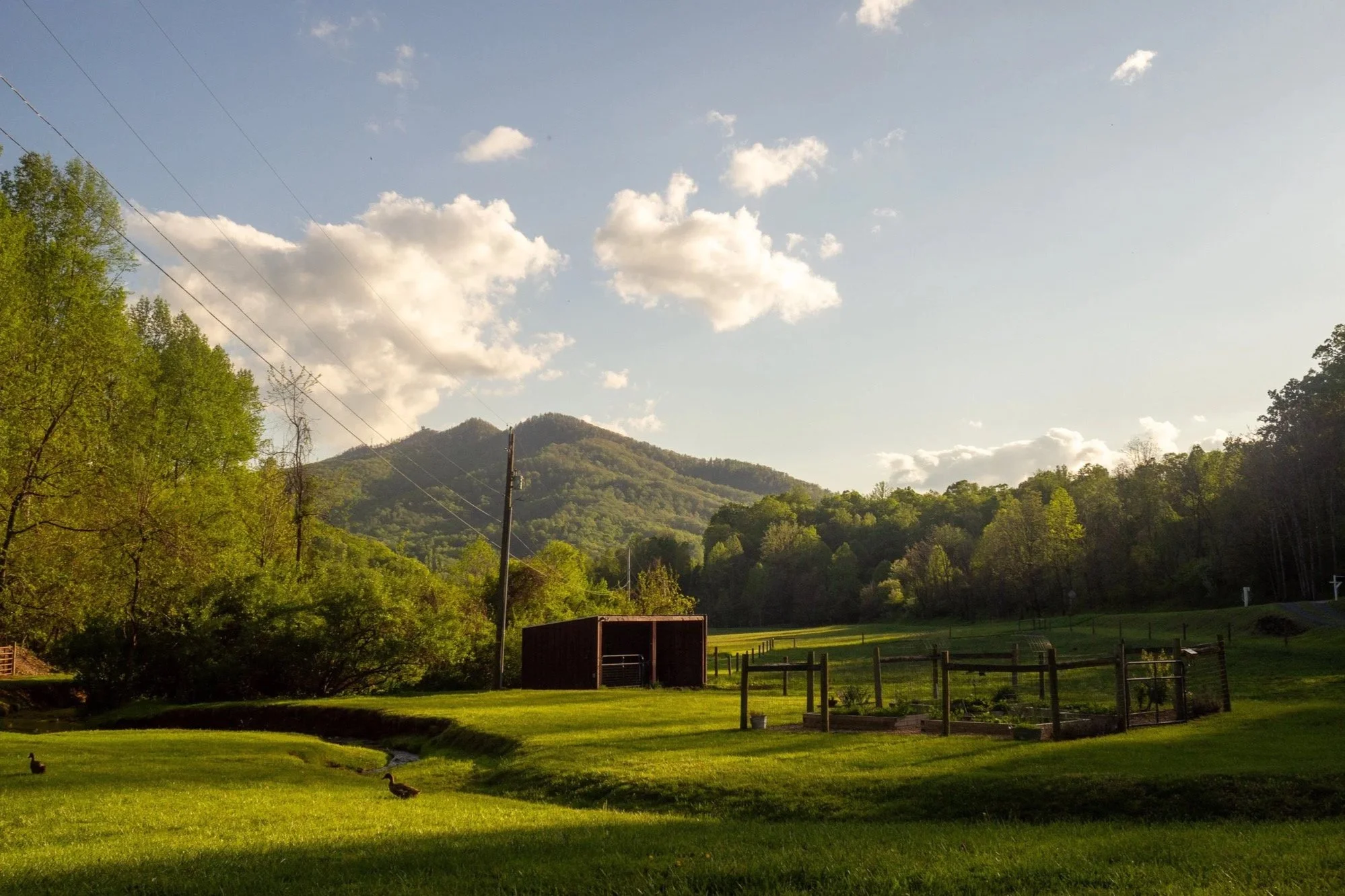 Heirloom Springs in Virginia