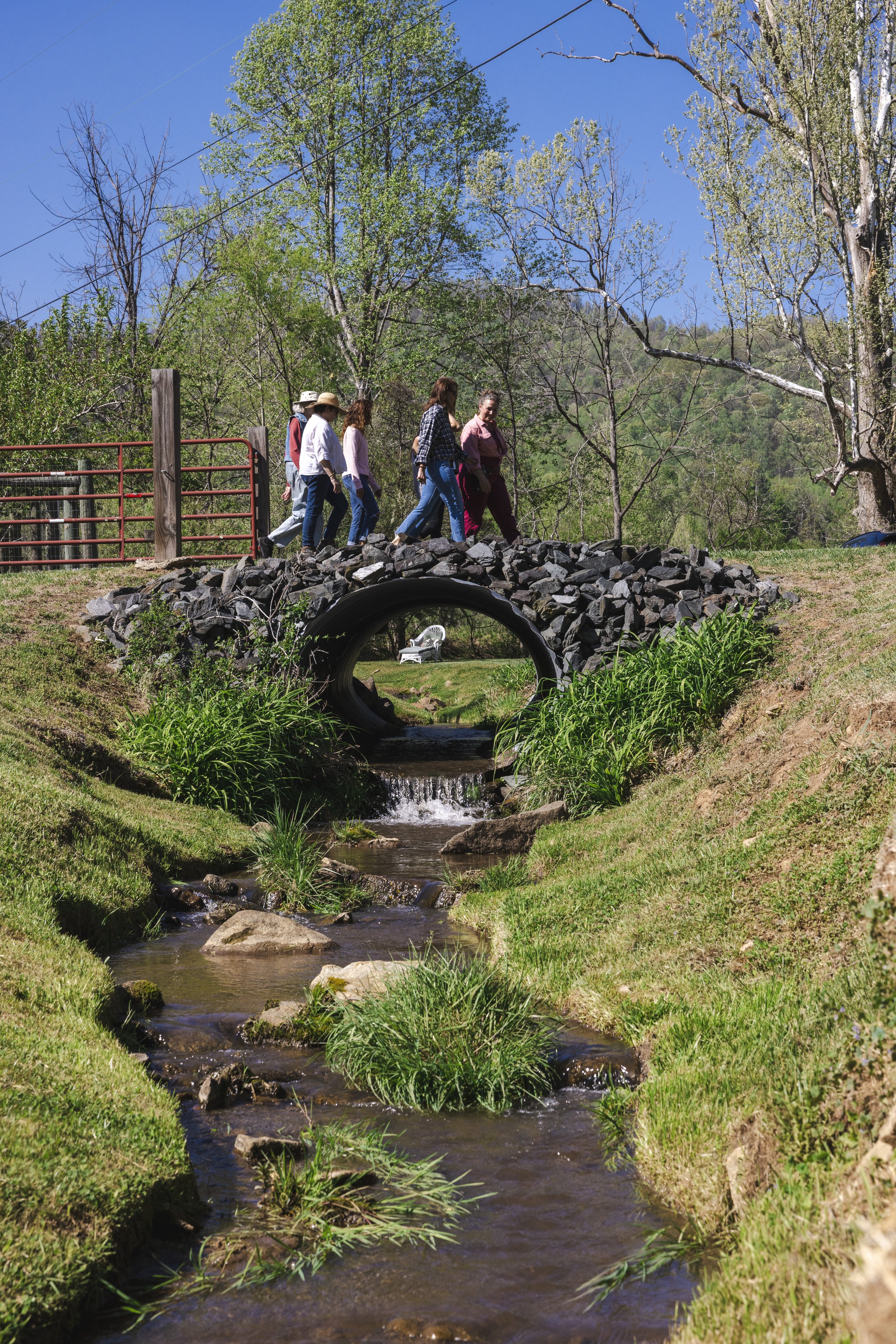 2026.04.16_HeirloomSprings_PressPackShoot_DanielJames_HERDventures233.jpeg