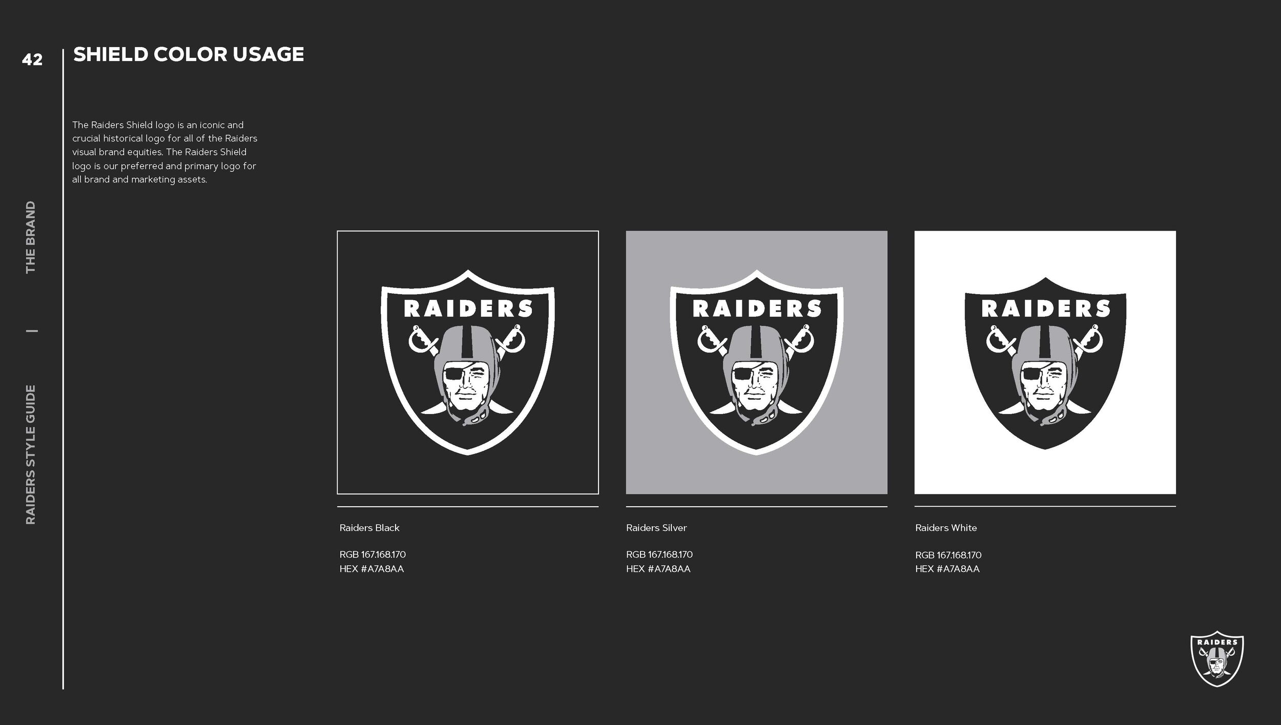 Raiders_Styleguide01_Page_042.jpg