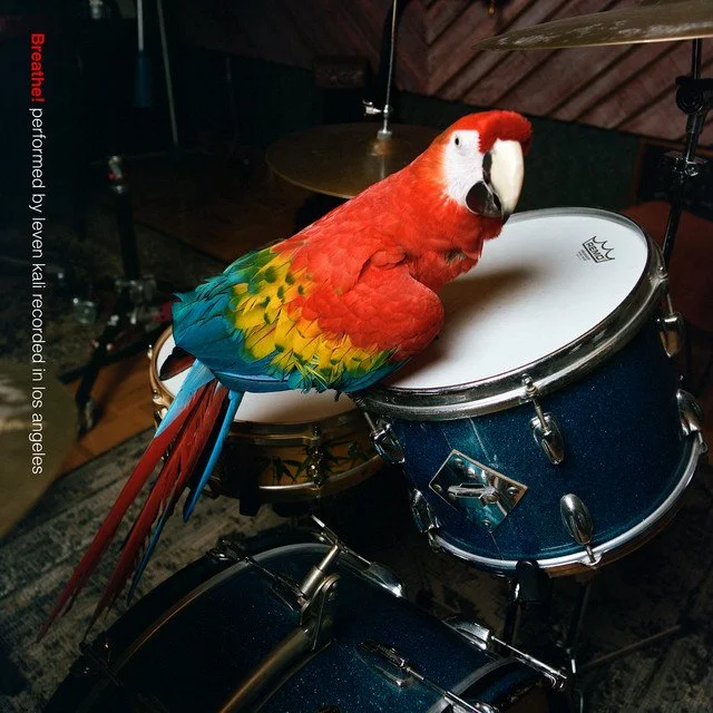 Leven Kali - Breathe!