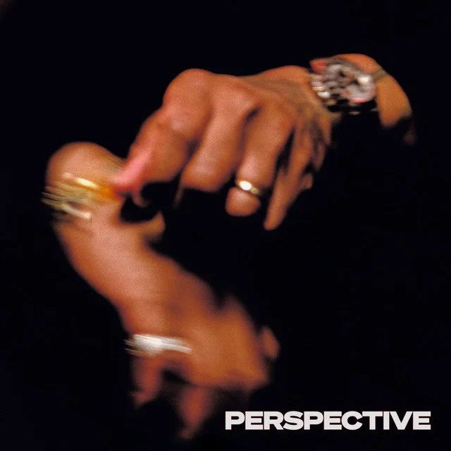 Terrace Martin - PERSPECTIVE (Album)