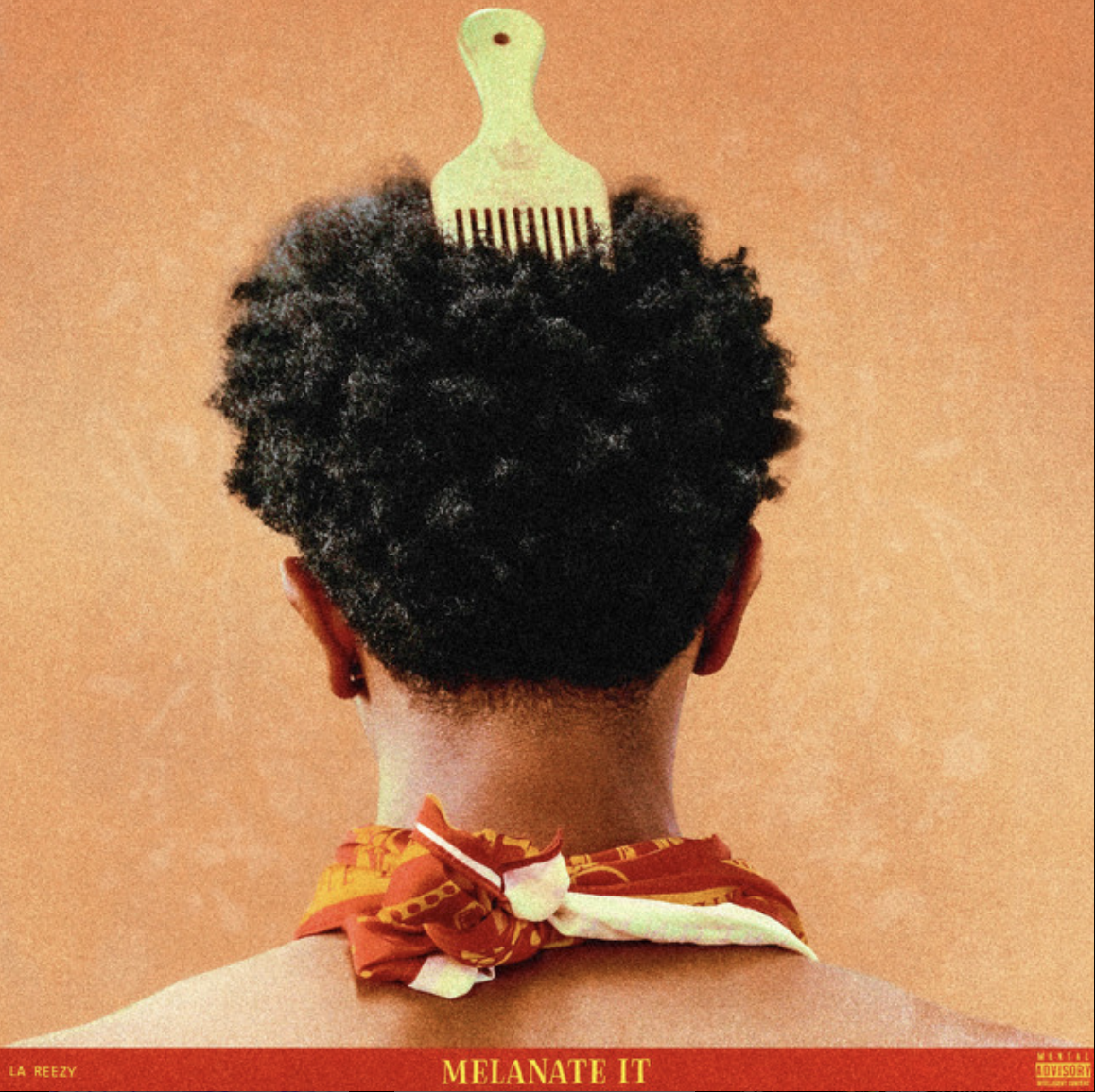 La Reezy - Melanate It