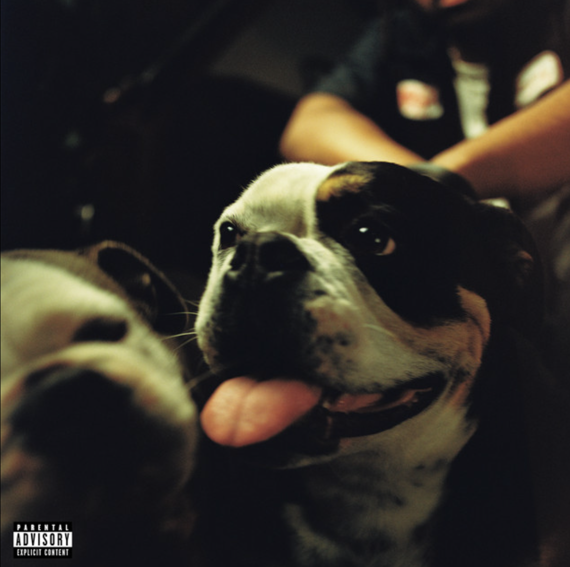 Kenny Mason - BULLDAWG (Album)