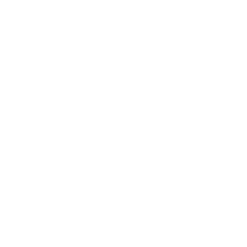 The Small NonProfit logo