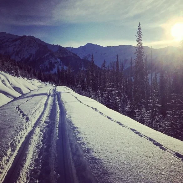 Slocan_IMG_20200205_135418_758.jpg