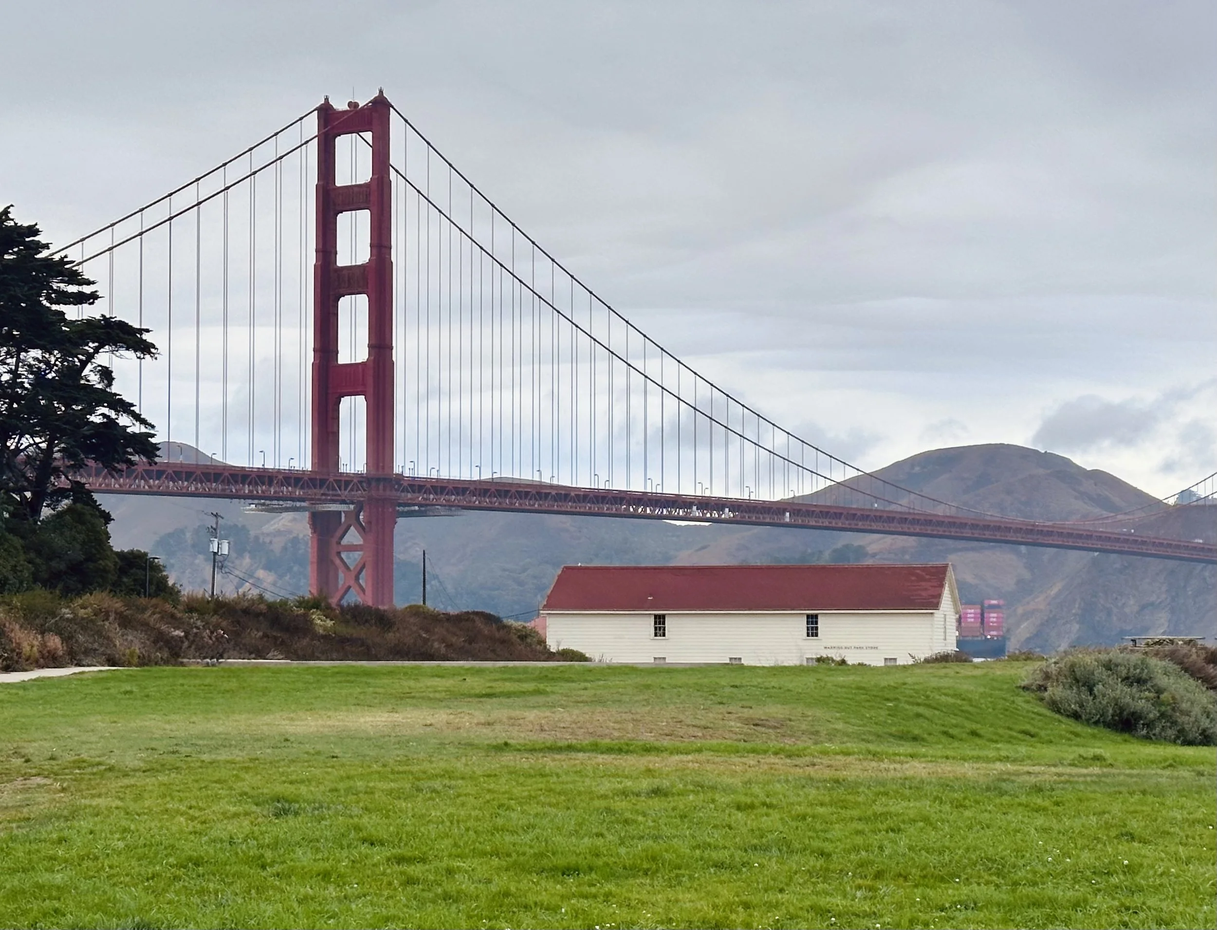 Fall Mini Session in the Presidio with the Golden Gate Bridge