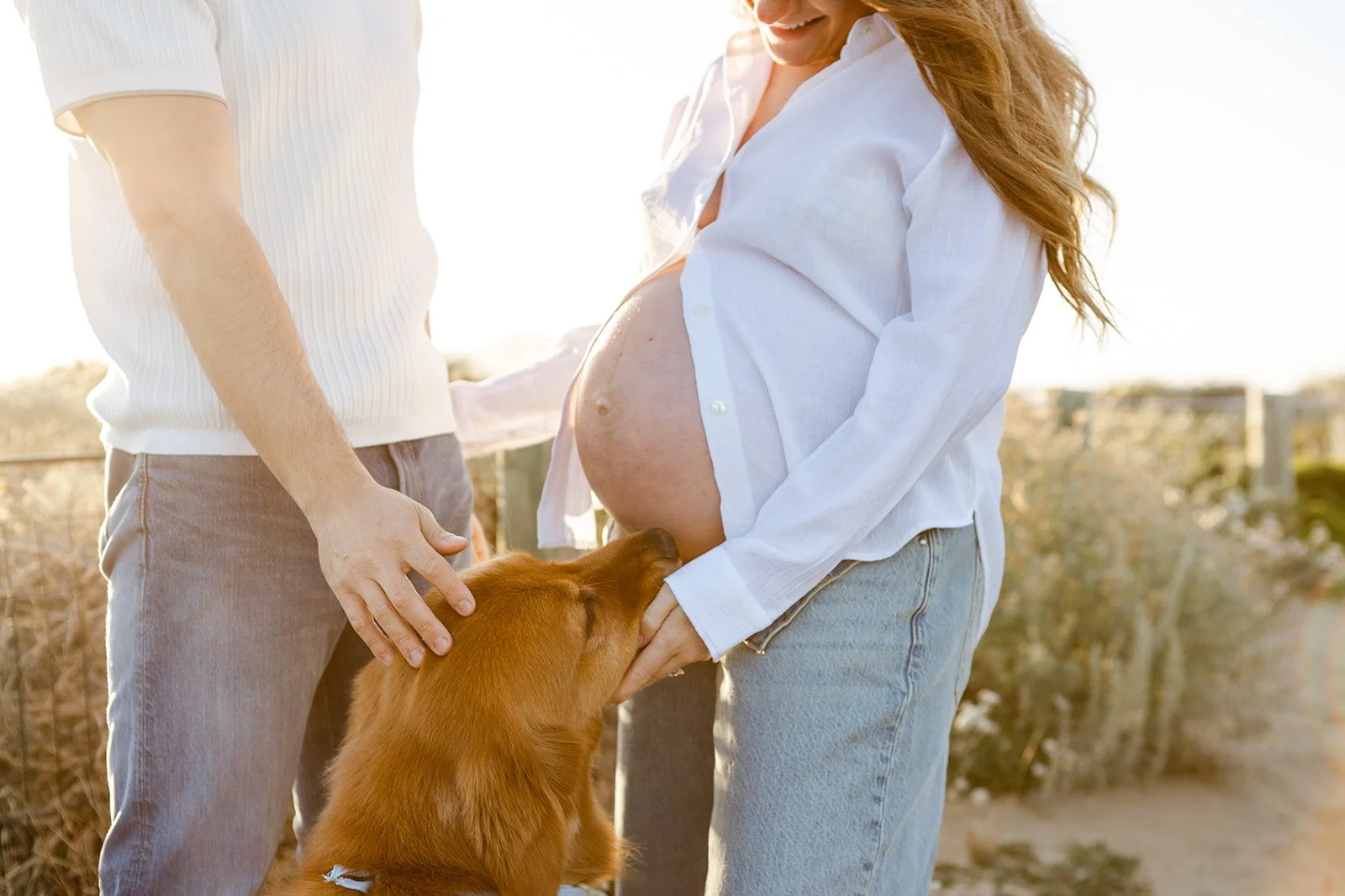SF Beach maternity photos with dog