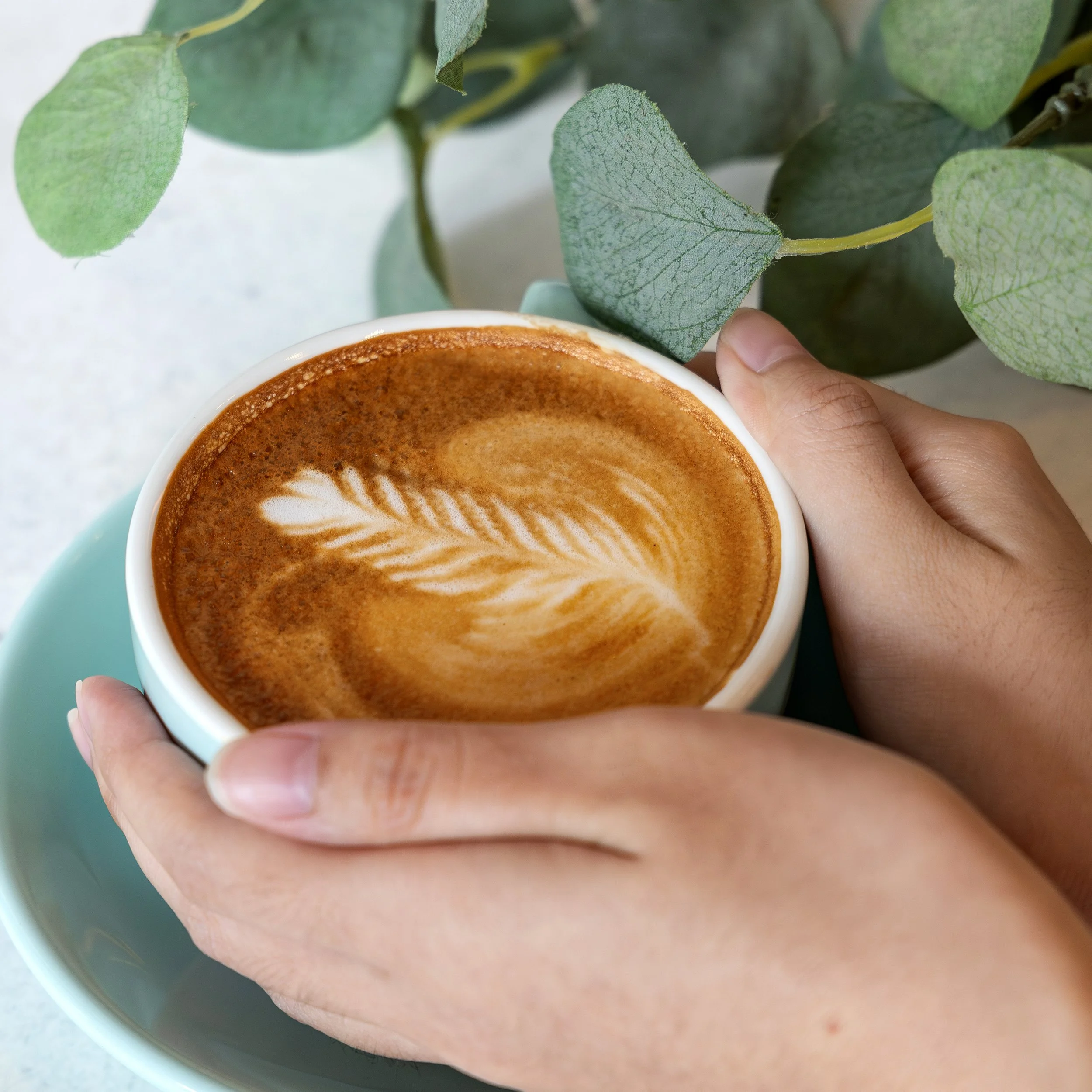 TMP - Latte-09.jpg