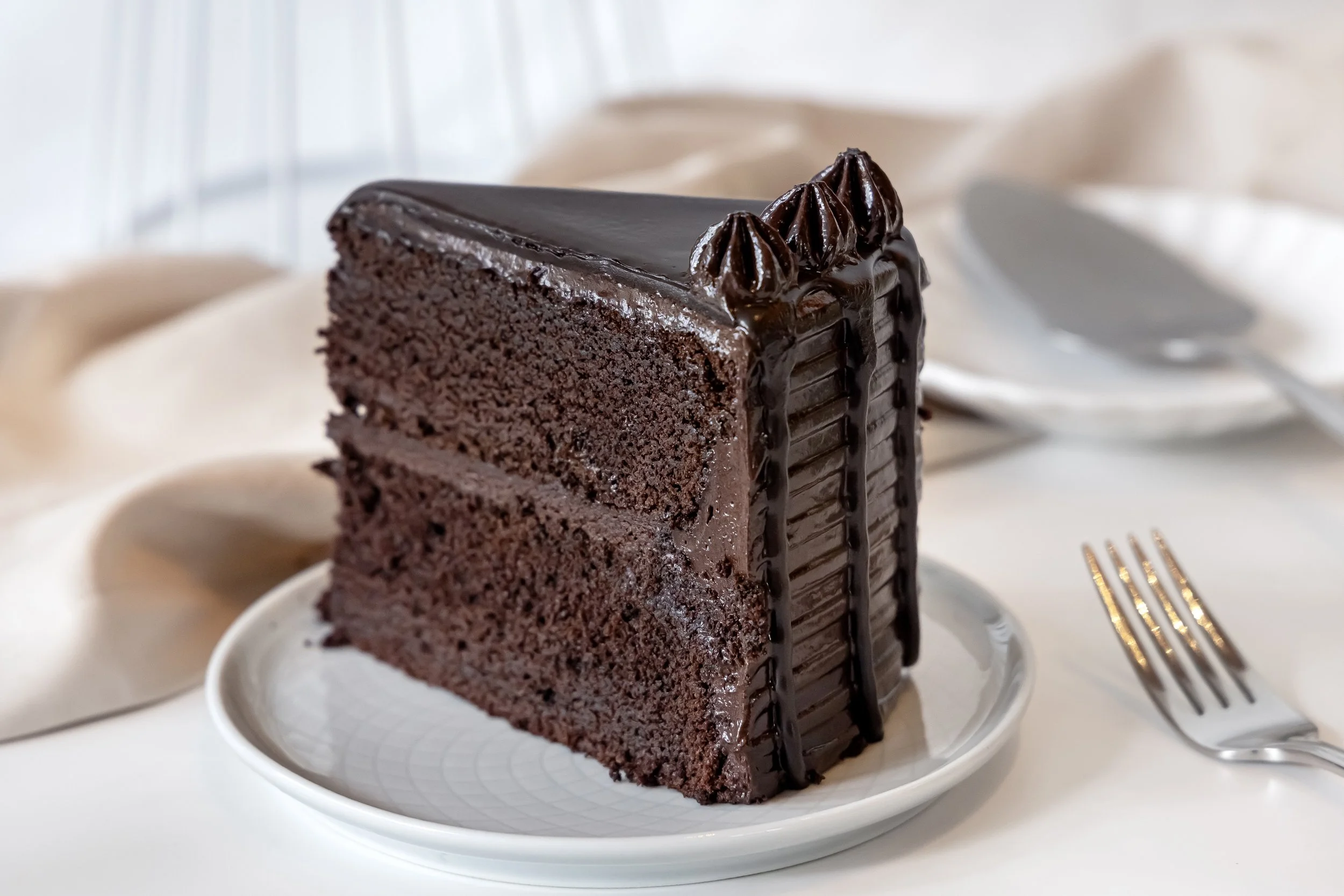 TMP Cakes - OF Chocolate Fudge Cake - Slice_2.jpg