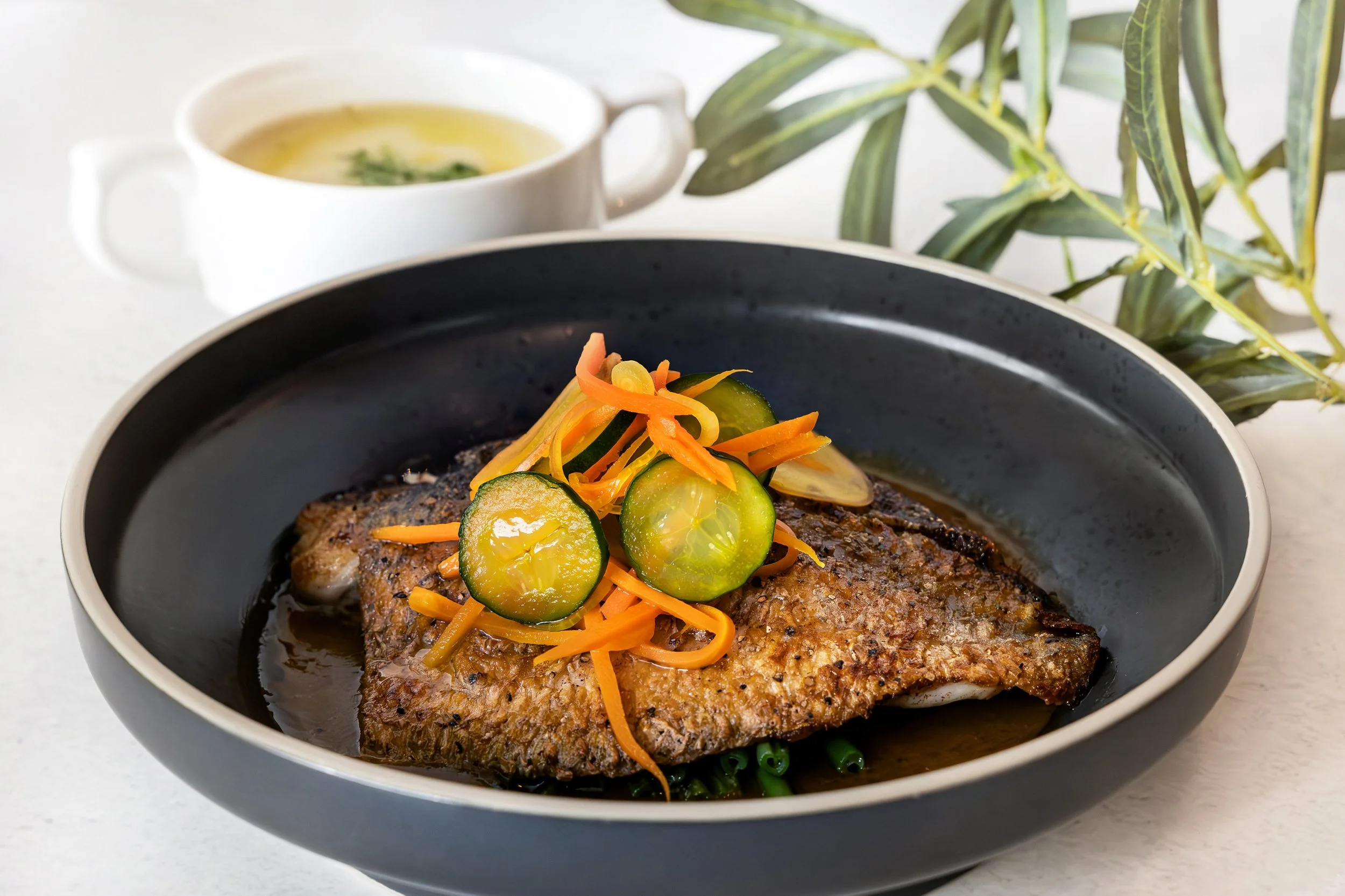 TMP ESL Q3 2026 - Seabass_L1.jpg