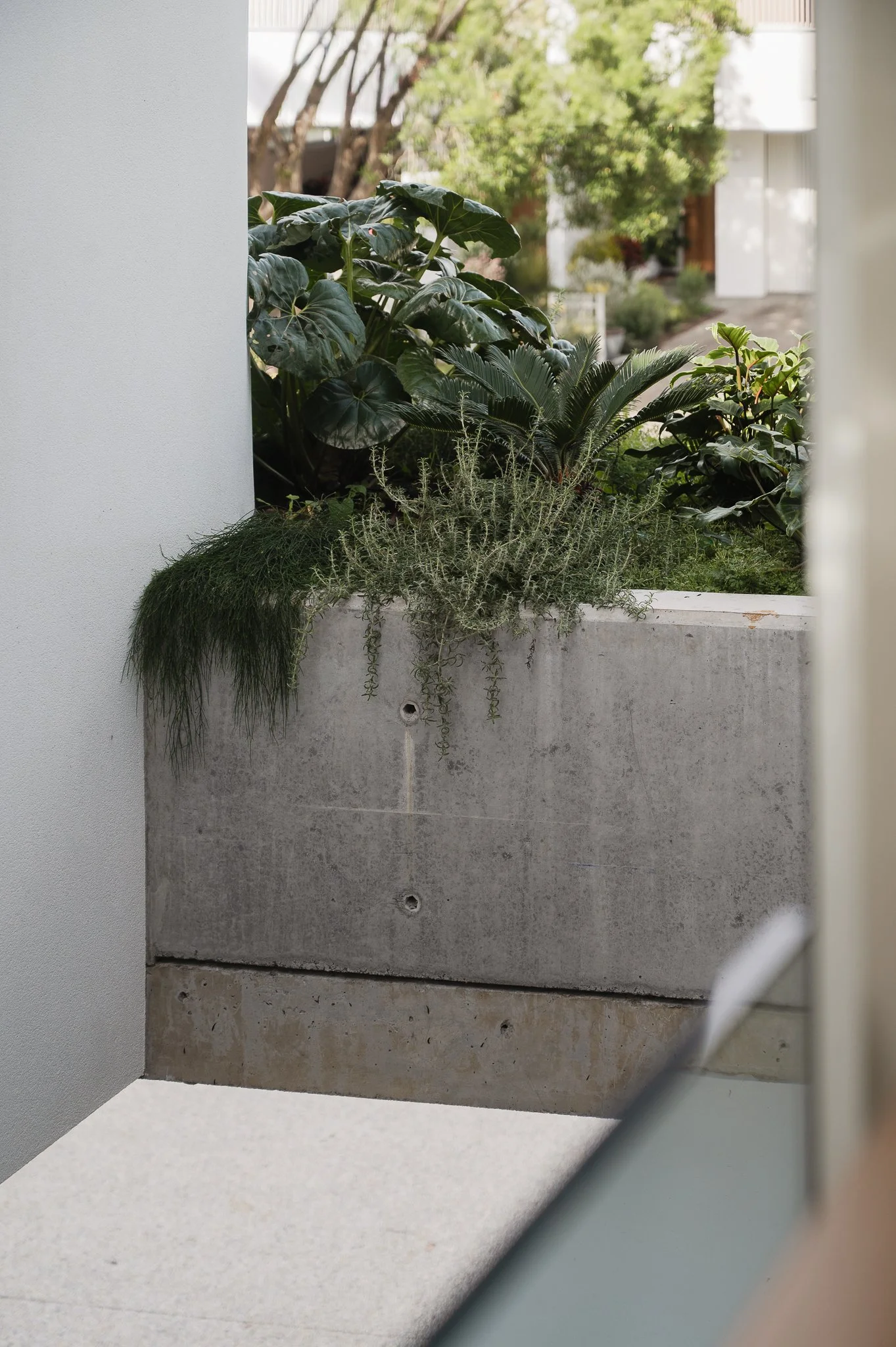 Interiors-7.jpg