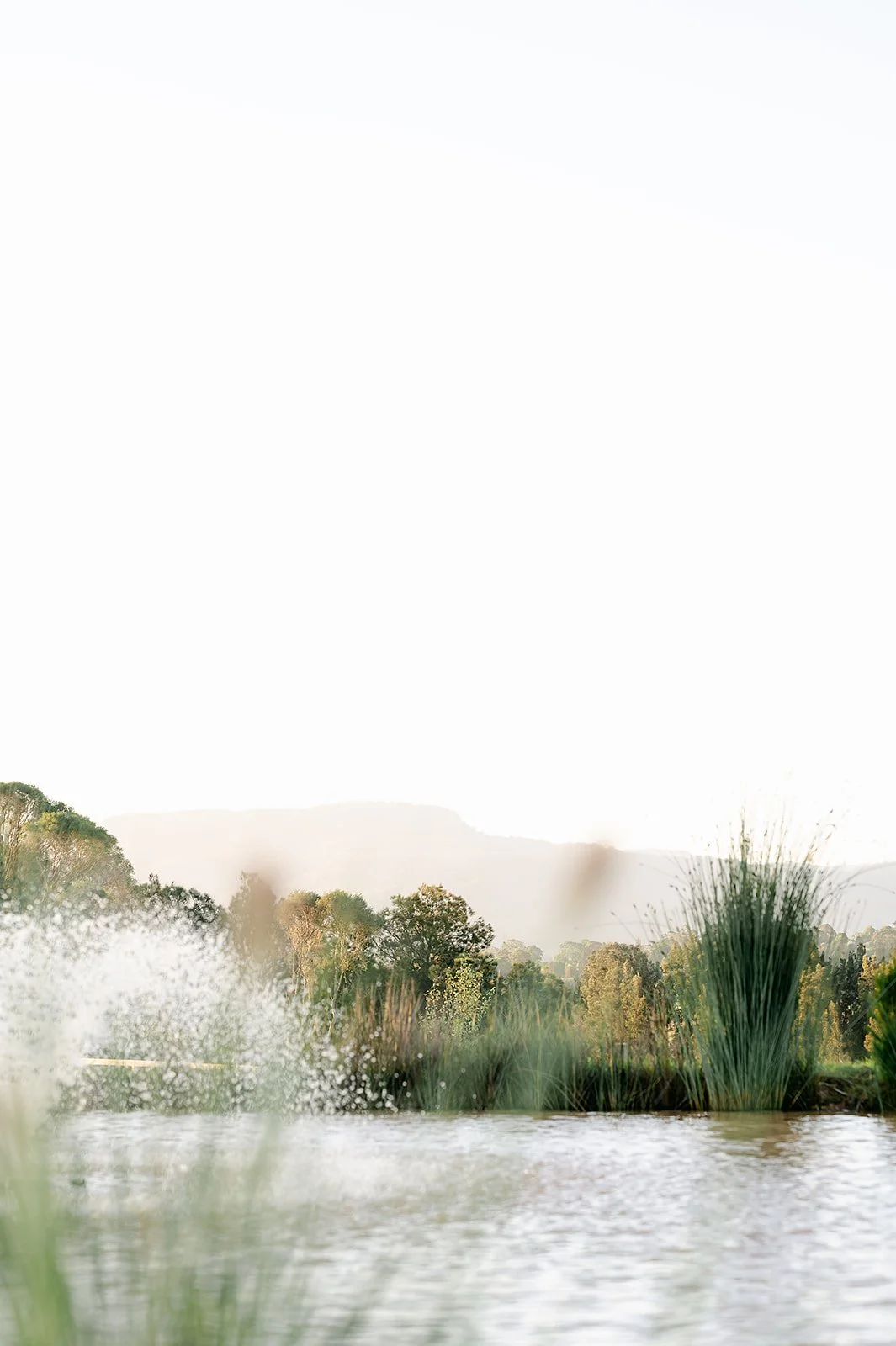 Southern Landscape Group Far Meadow-094.jpg