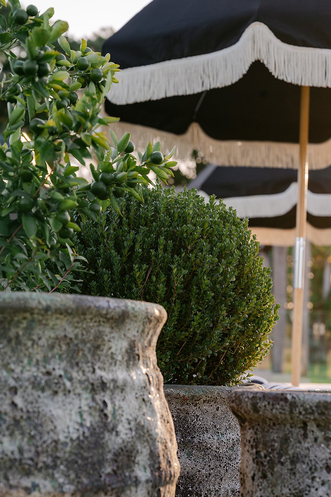Southern Landscape Group Far Meadow-070.jpg