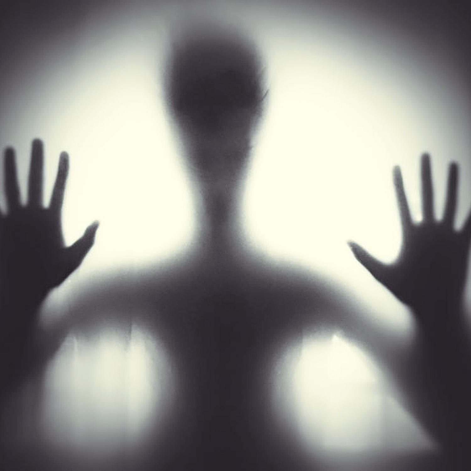 Hey Google are Ghosts Real?: There is Ghost is Real Proof CHELSIDERMY Hey Google are Ghosts Real?: There is Ghost is Real Proof CHELSIDERMY