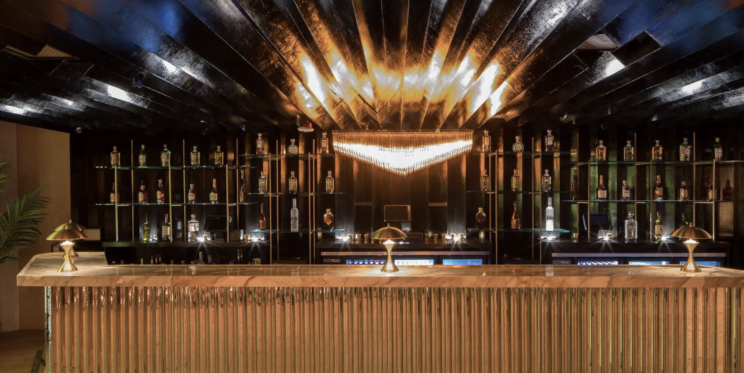 Screen Shot 2024-05-07 at 10.52.16 AM.png