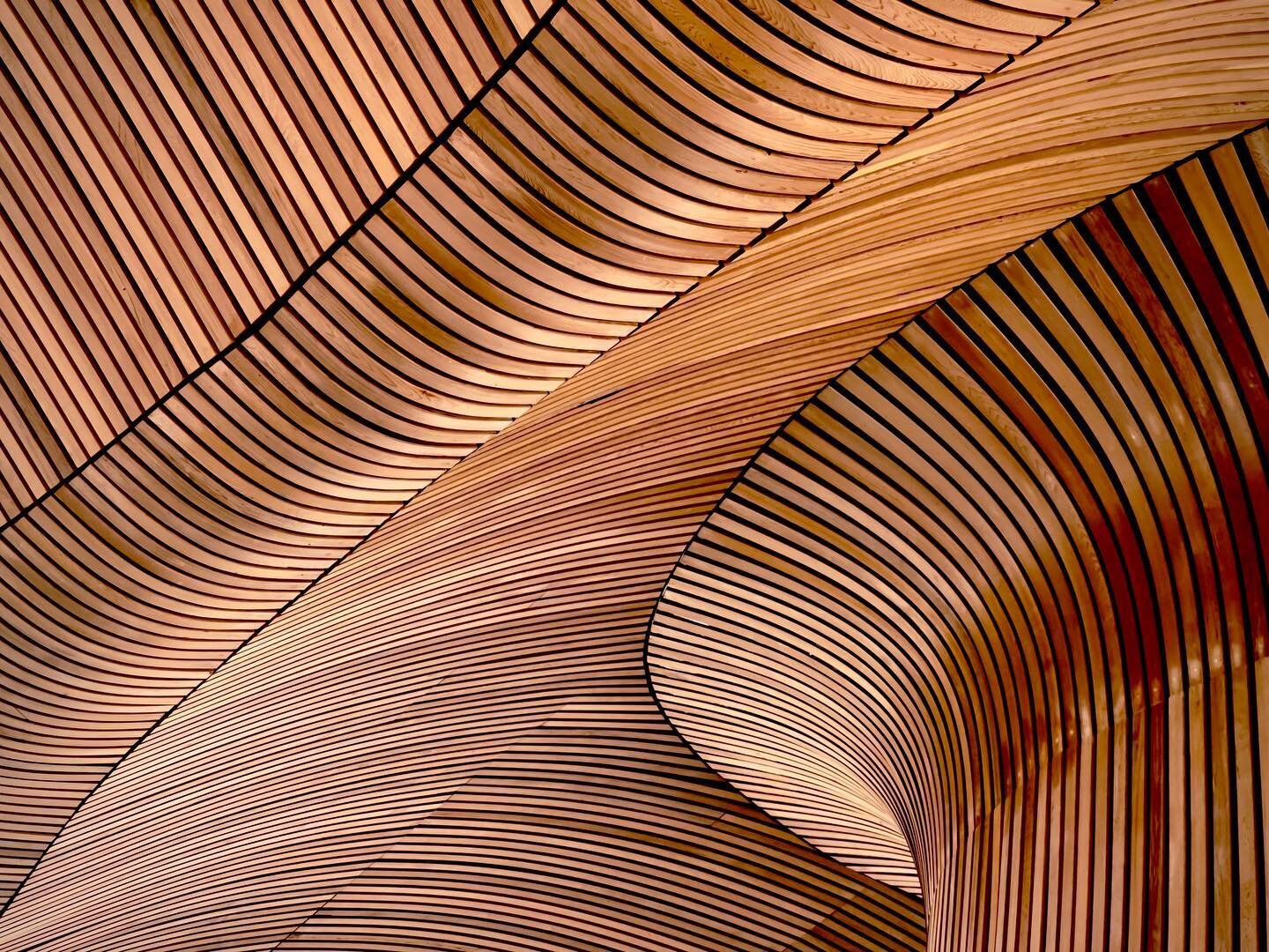 Interior ceiling of The Senedd Cymru/Welsh Parliament in Cardiff. The building was designed by Richard Rogers Partnership.