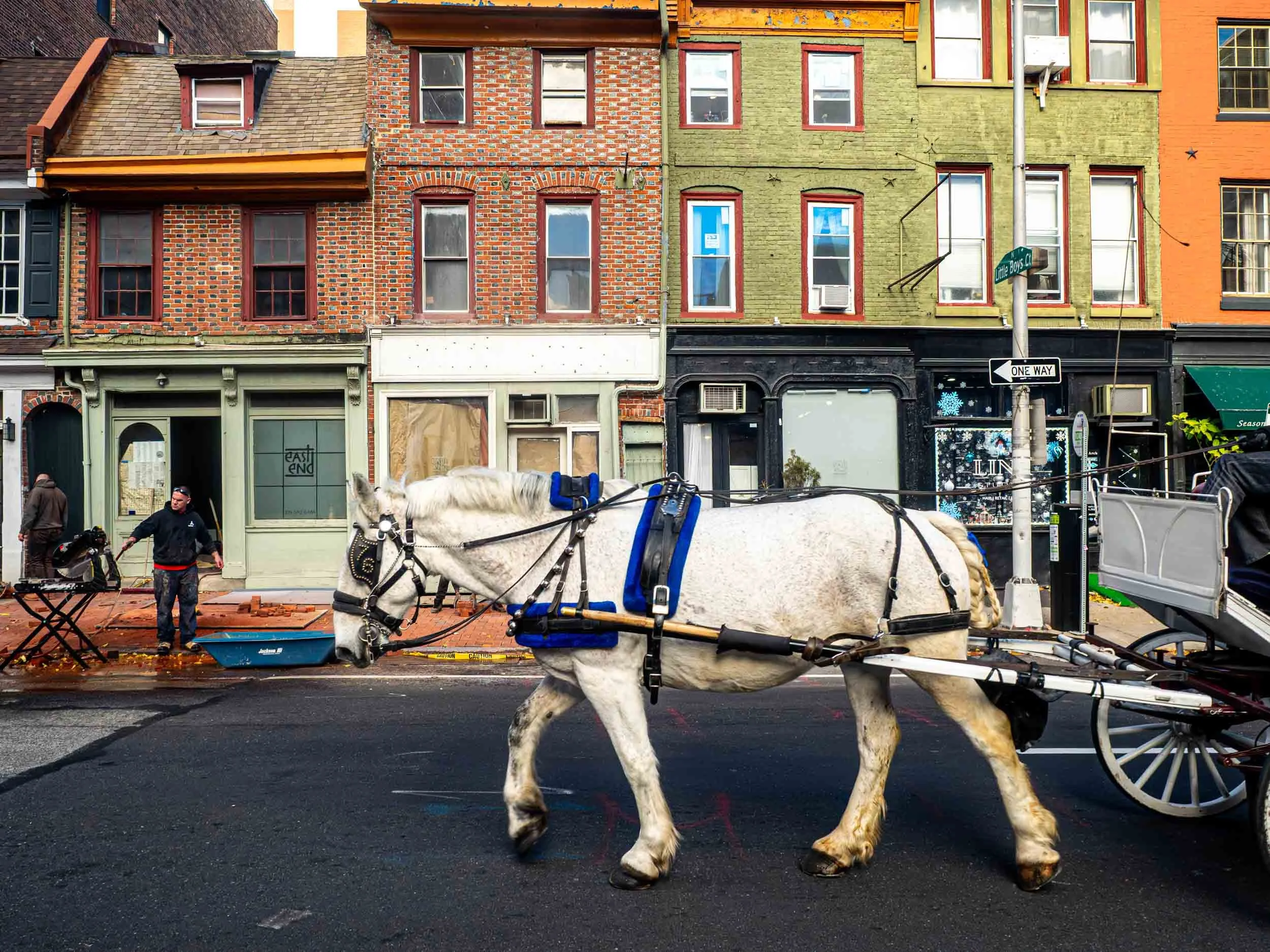 Horse on Arch Street