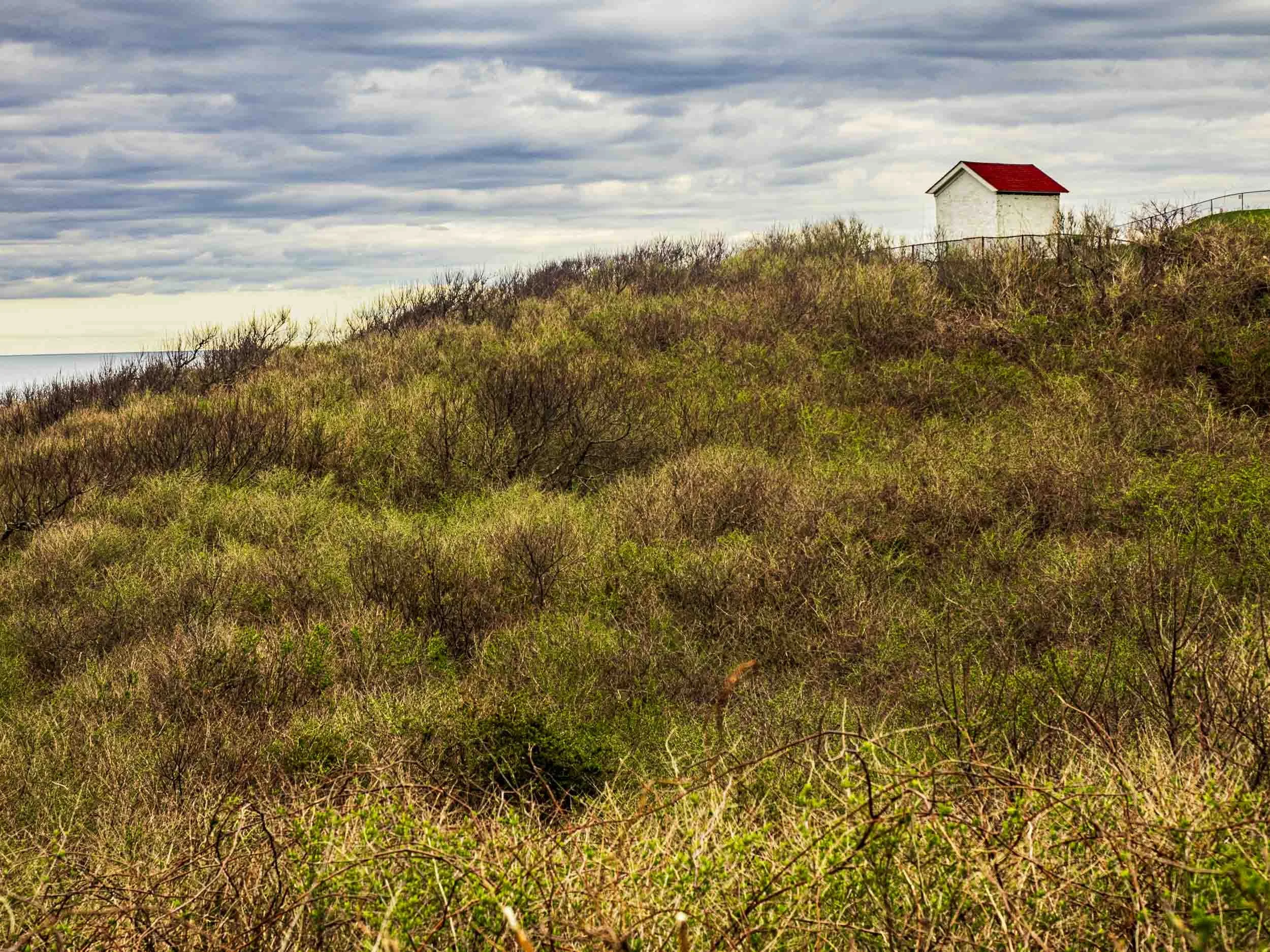 Lighthouse Shed