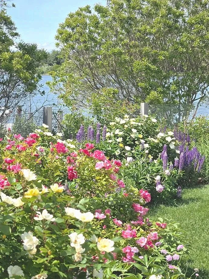 Sag Harbor Landscape Design