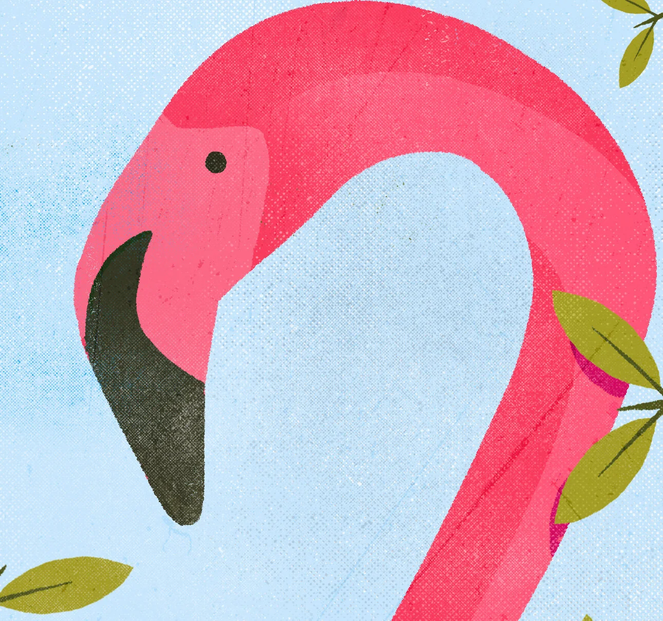 flamingo-detail.jpg