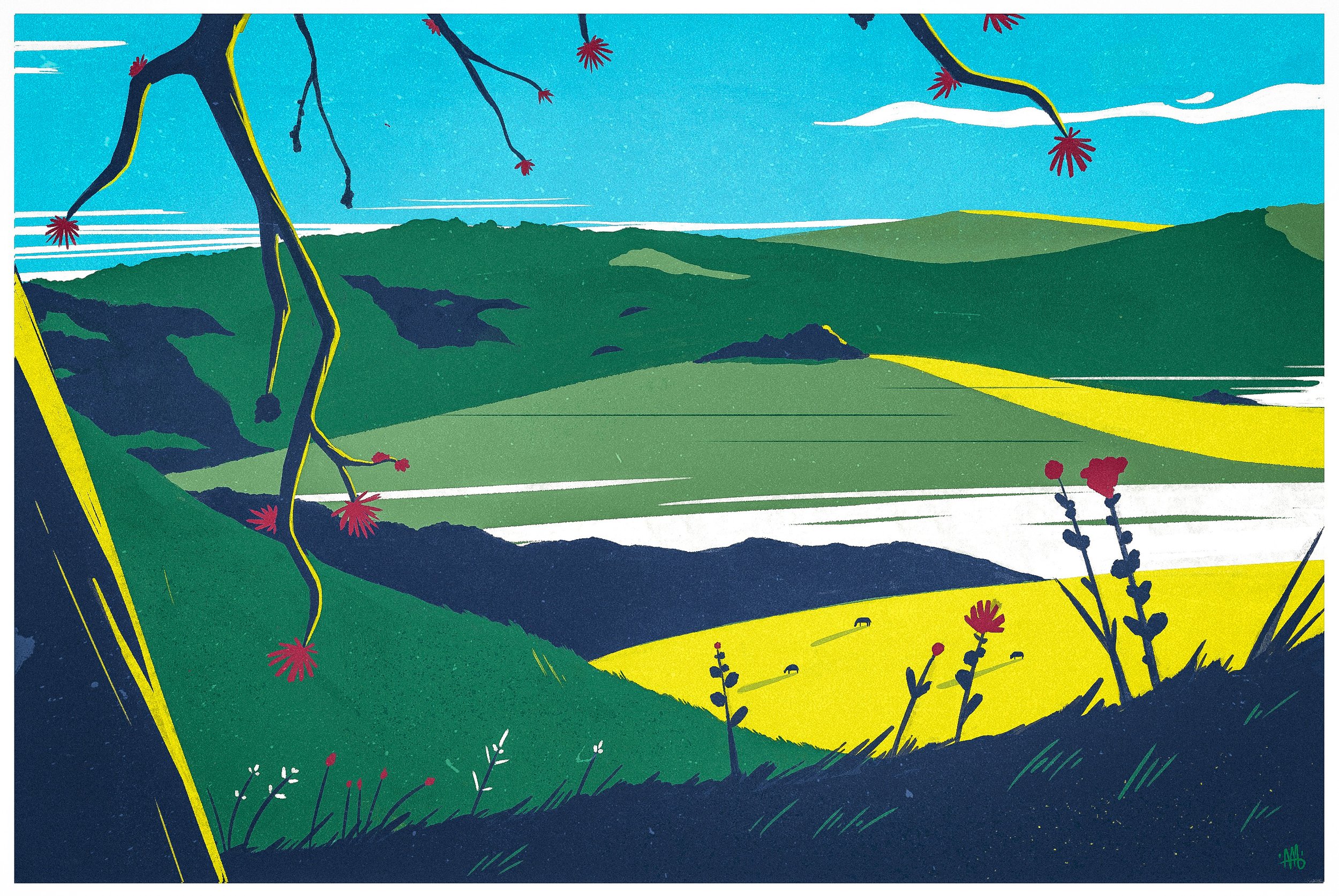 Hills & Mist (Lightroom).jpg