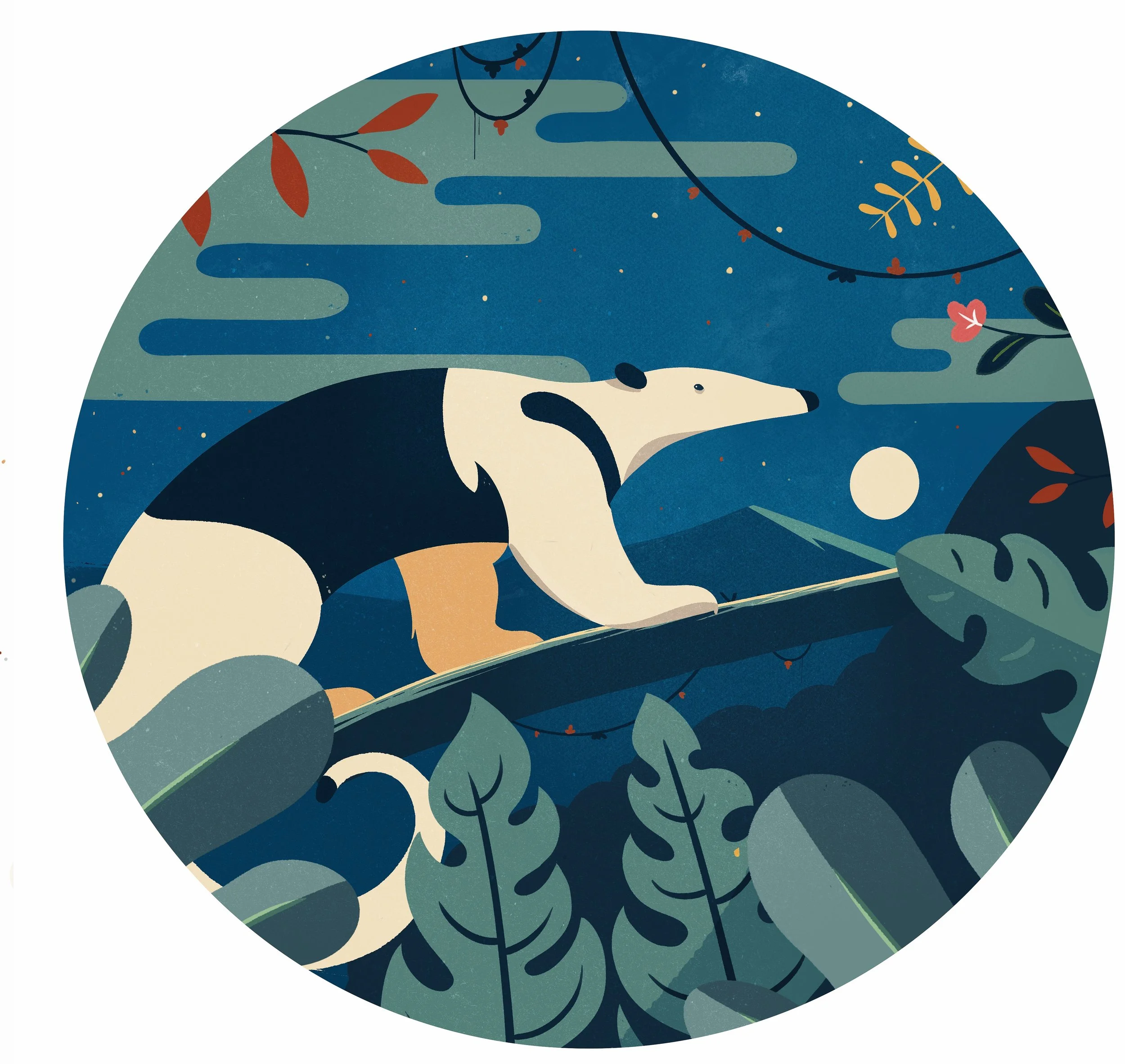 Anteater-second version.jpg