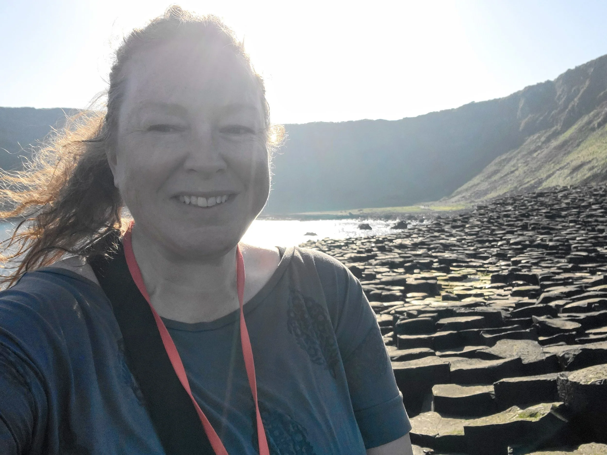 The Inheritance of Movement