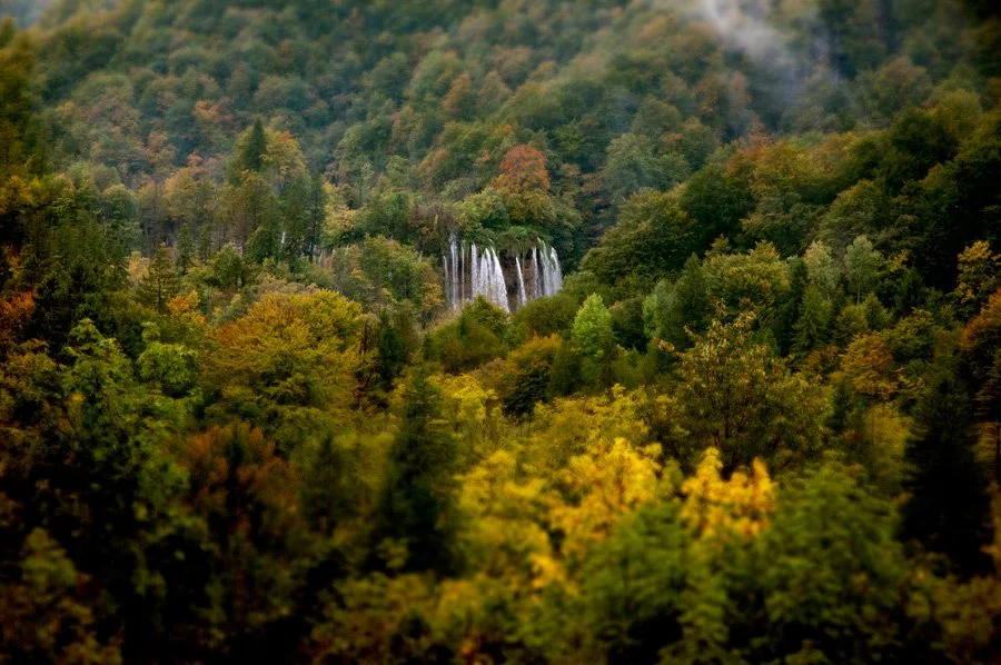 waterfall-in-the-leaves.jpg