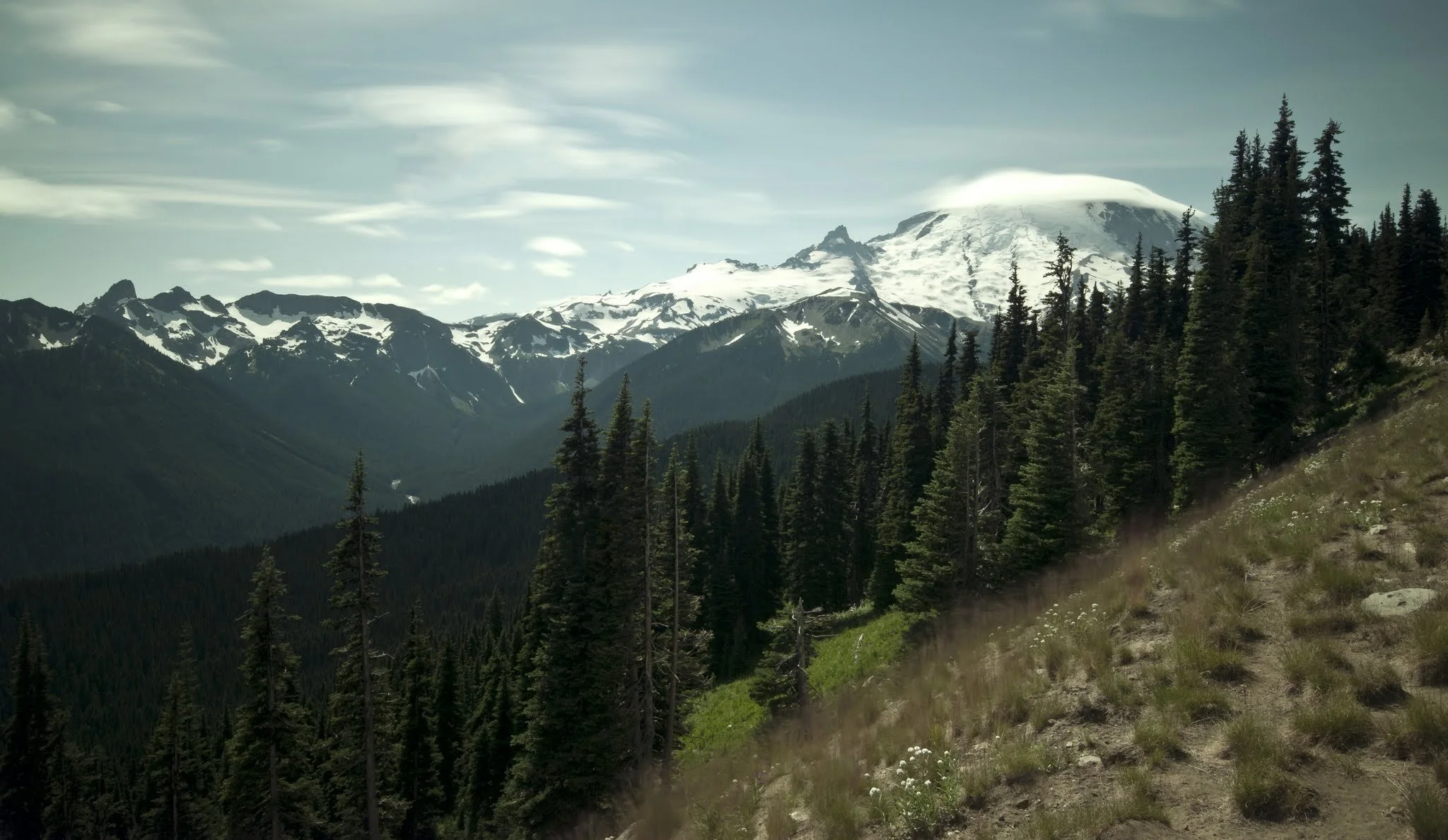rainier with movement.jpg