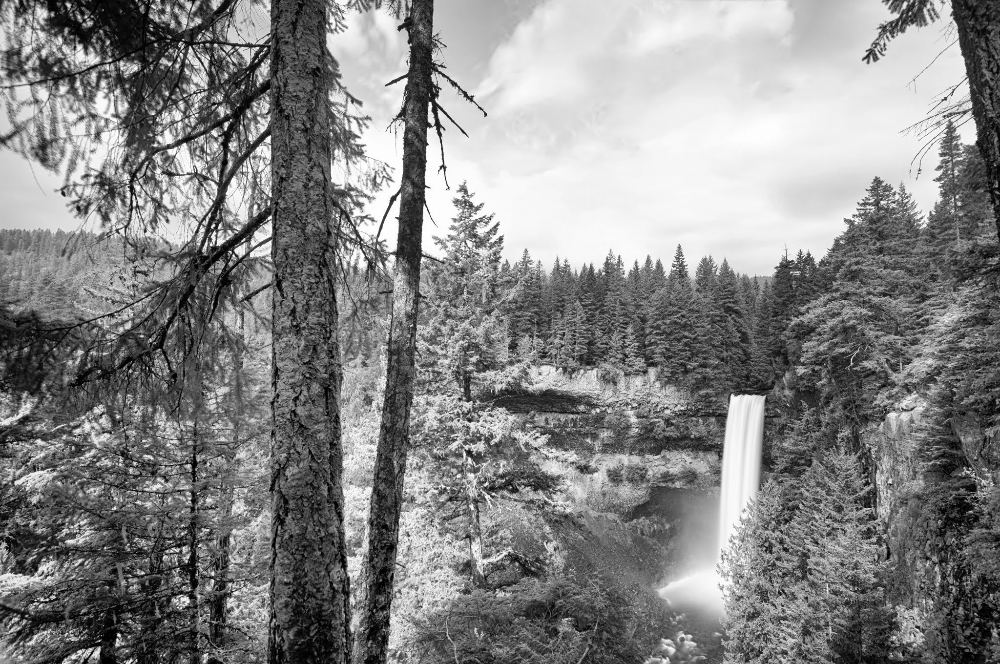 brandywine falls bw.jpg