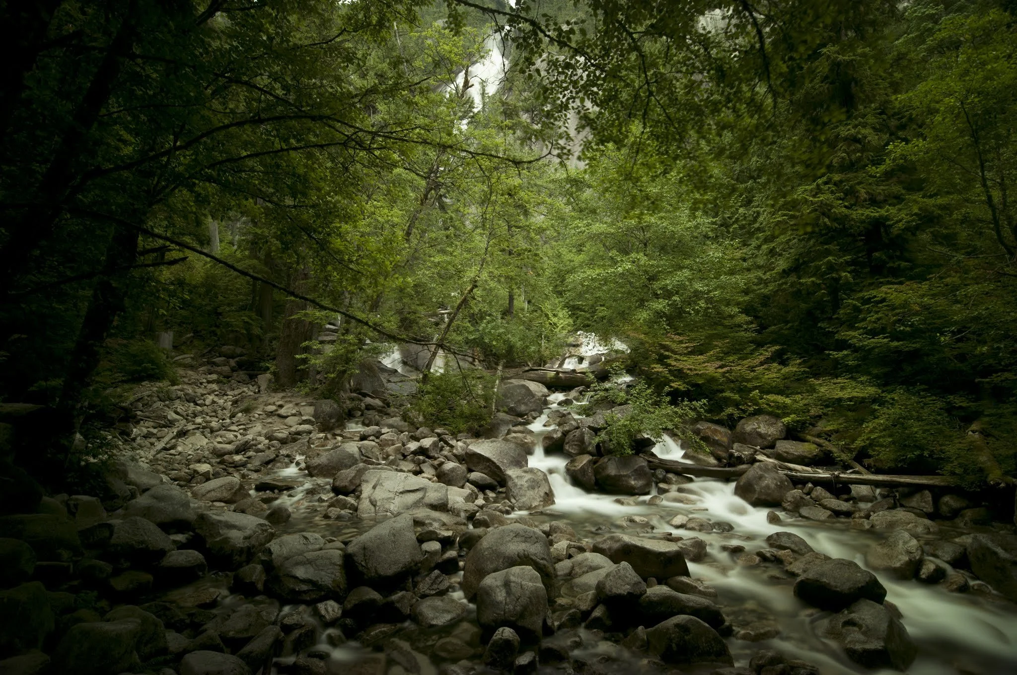color cast removed shannon falls.jpg