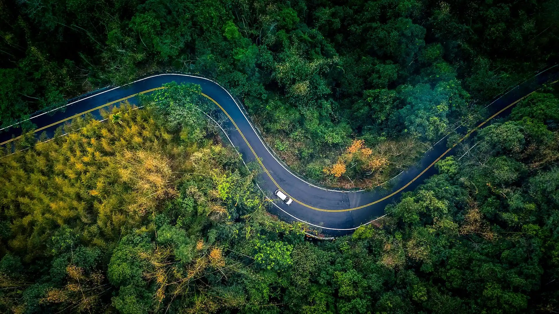 A windy road in the winter season