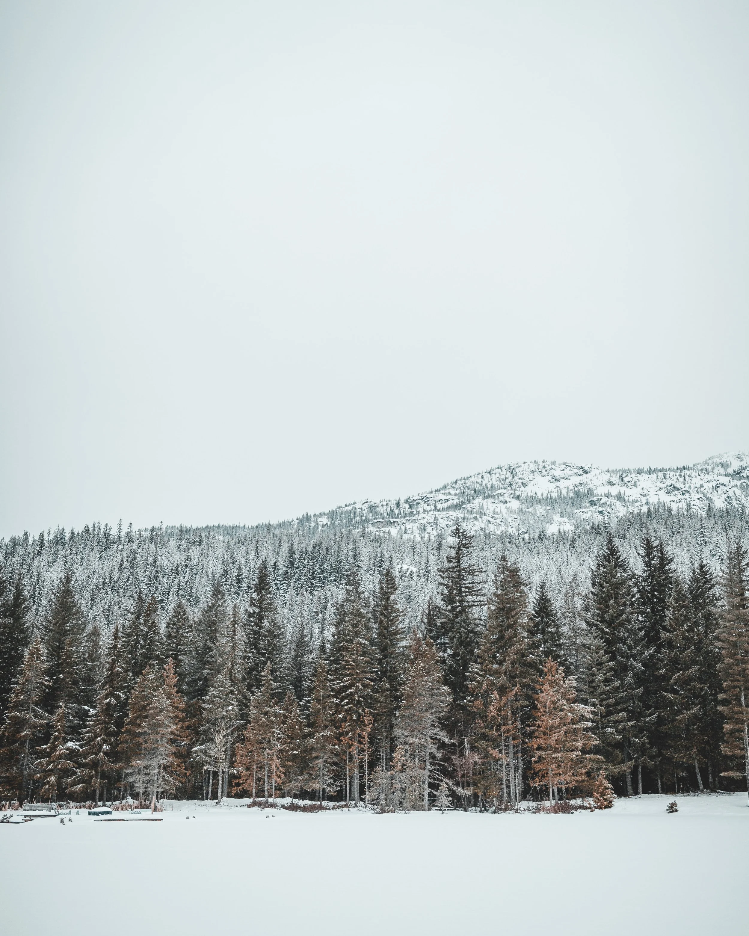 What is cross-country skiing (Nordic skiing)? A guide to cross-country skiing in Whistler.