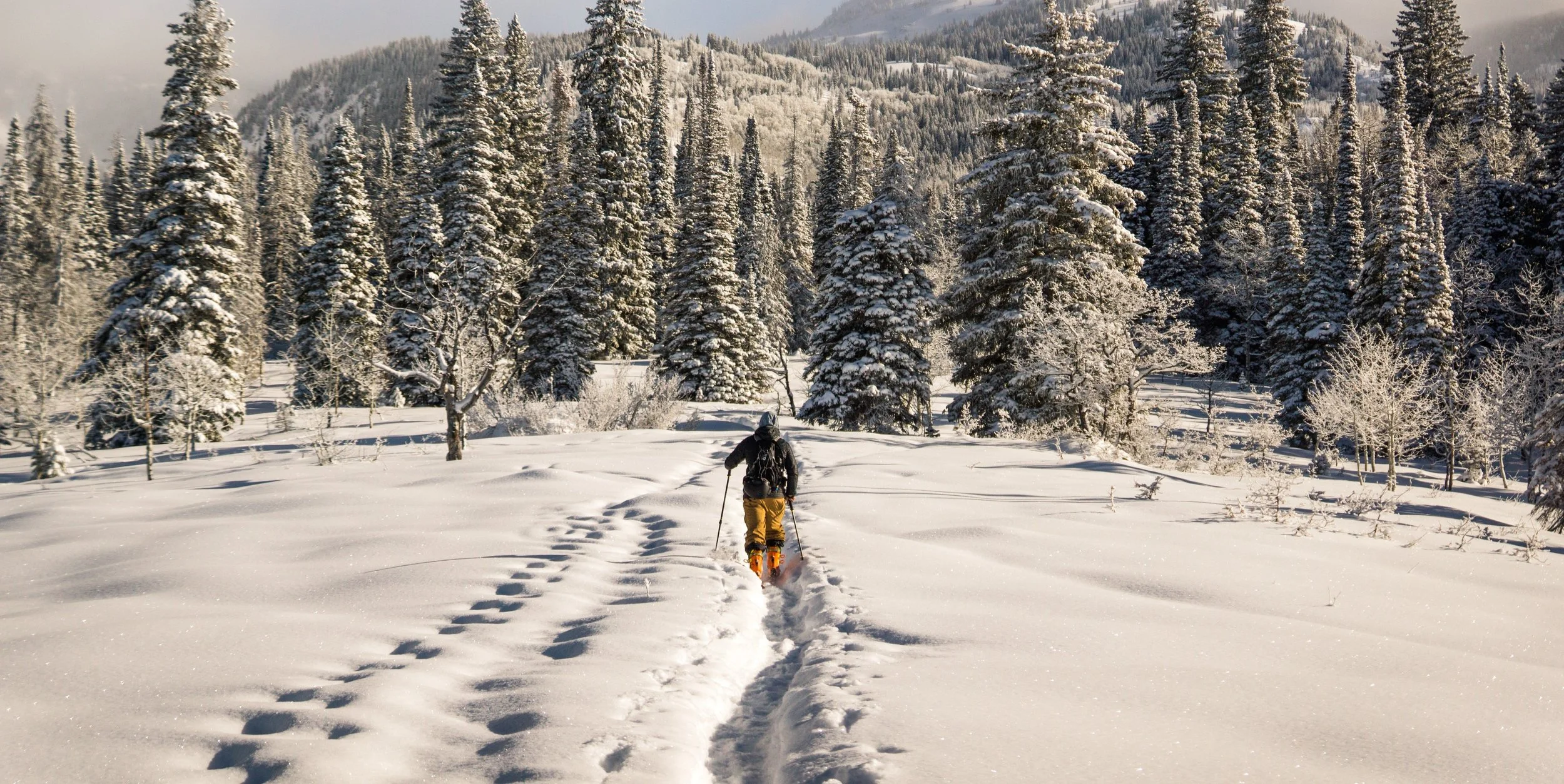 Whistler vs Jackson Hole, Wyoming for winter skiing: how to choose the right resort.