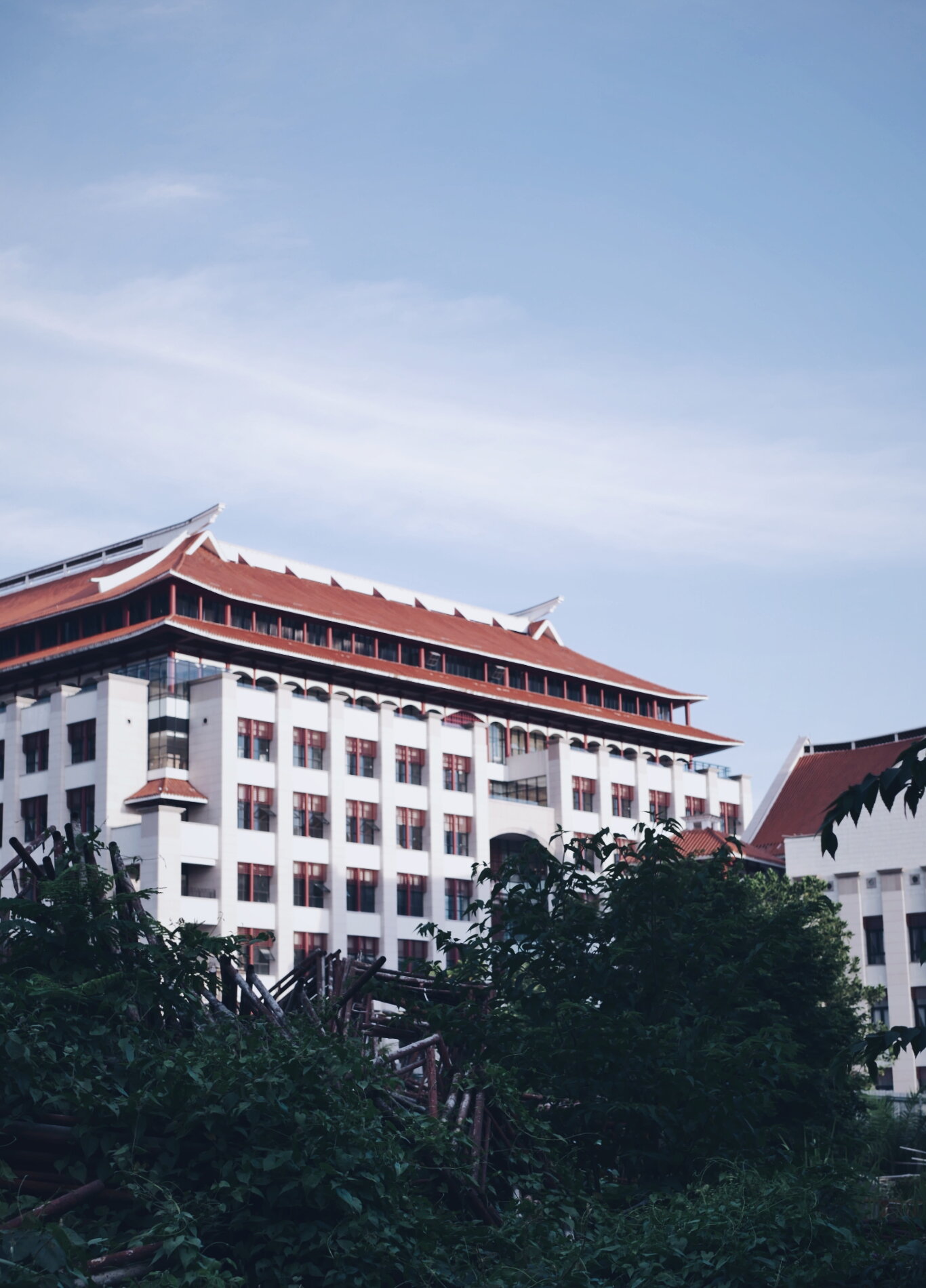 vsco5bc9e00029cde.jpg