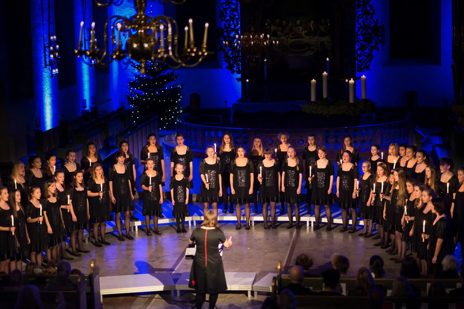 Julekonsert i Oslo Domkirke (19.30) UTSOLGT!