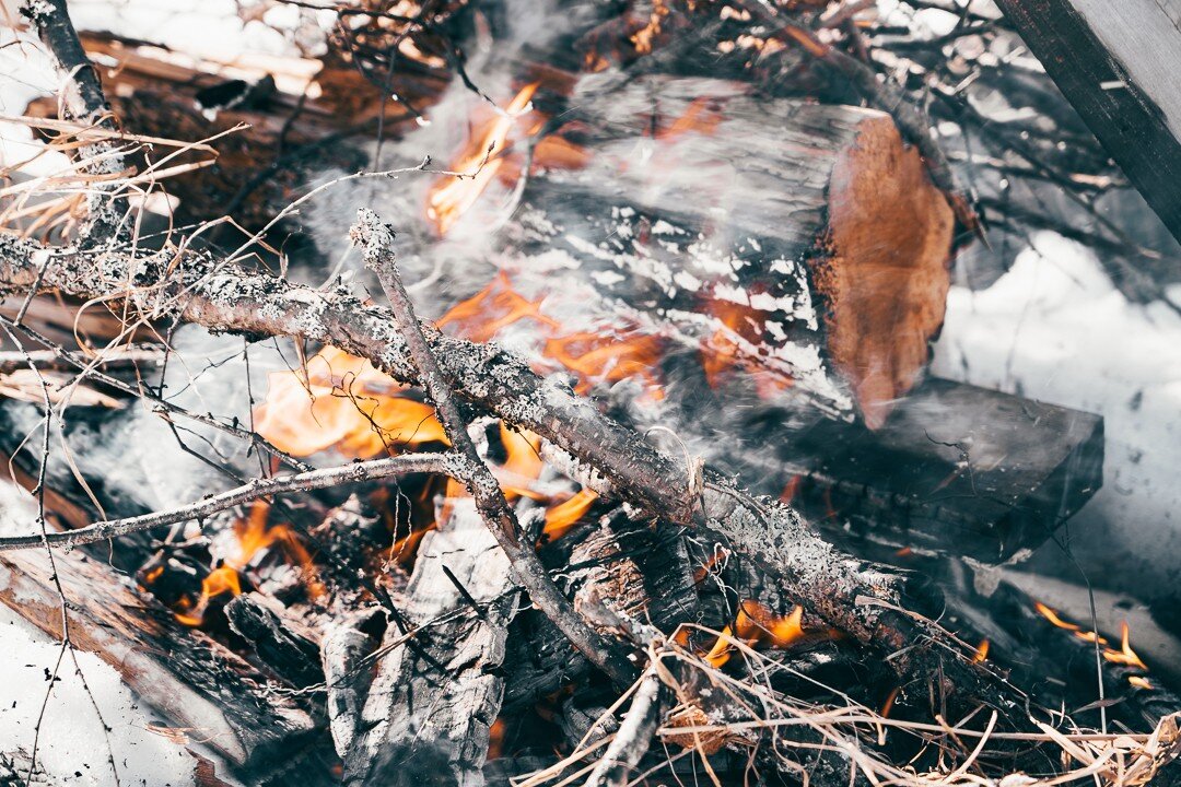Kokko
