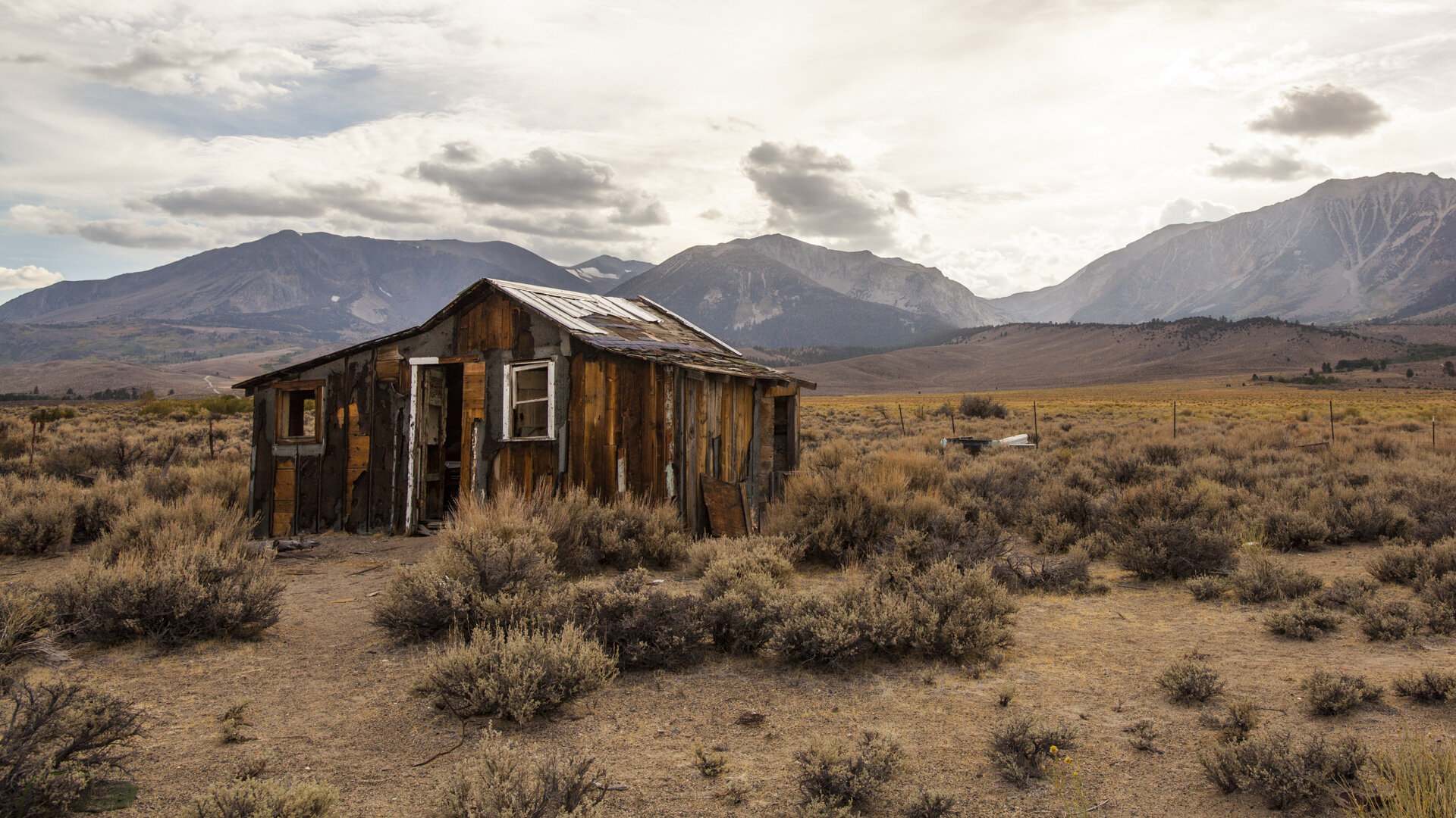 Southwest-6.jpg