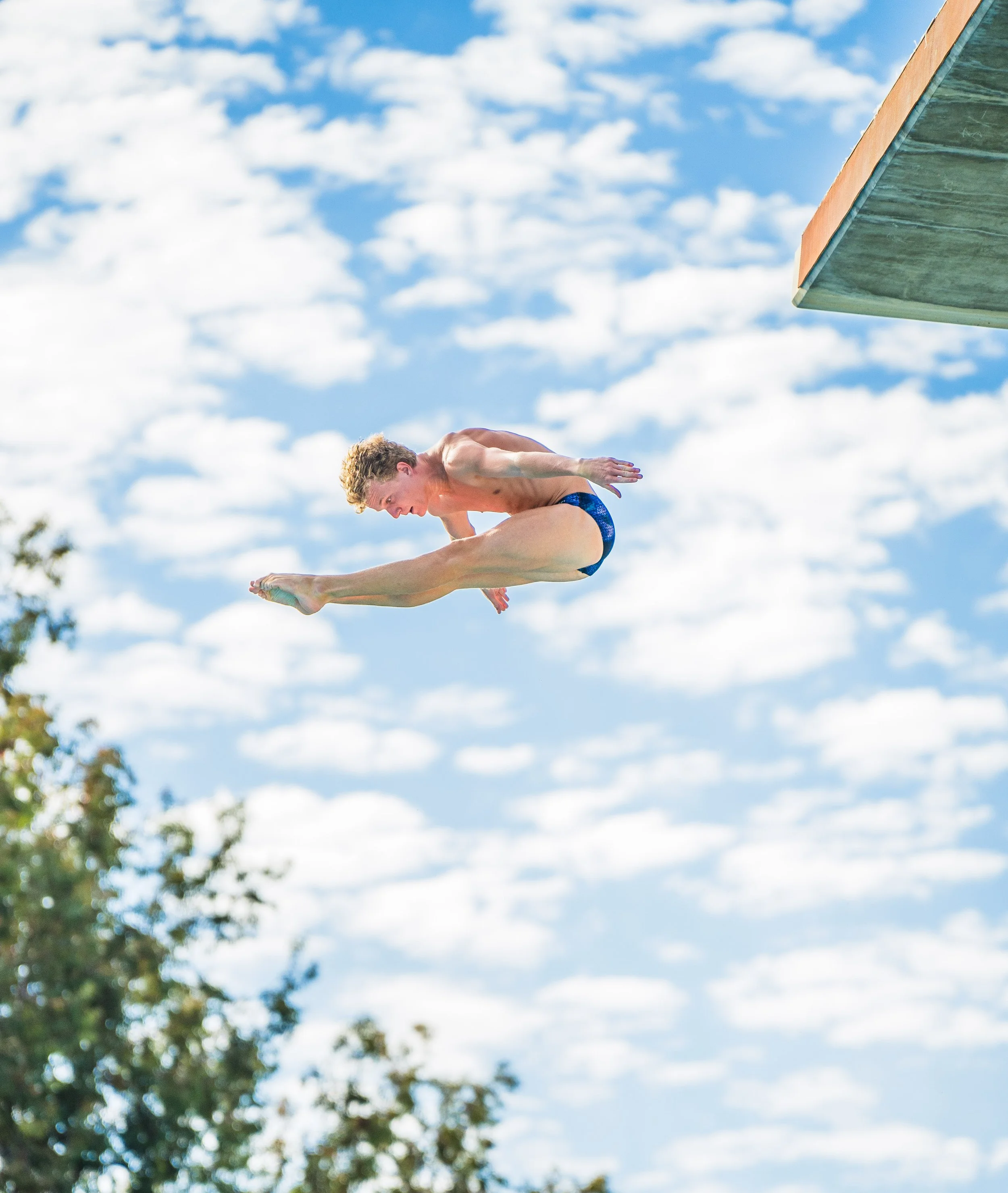 Male Diver