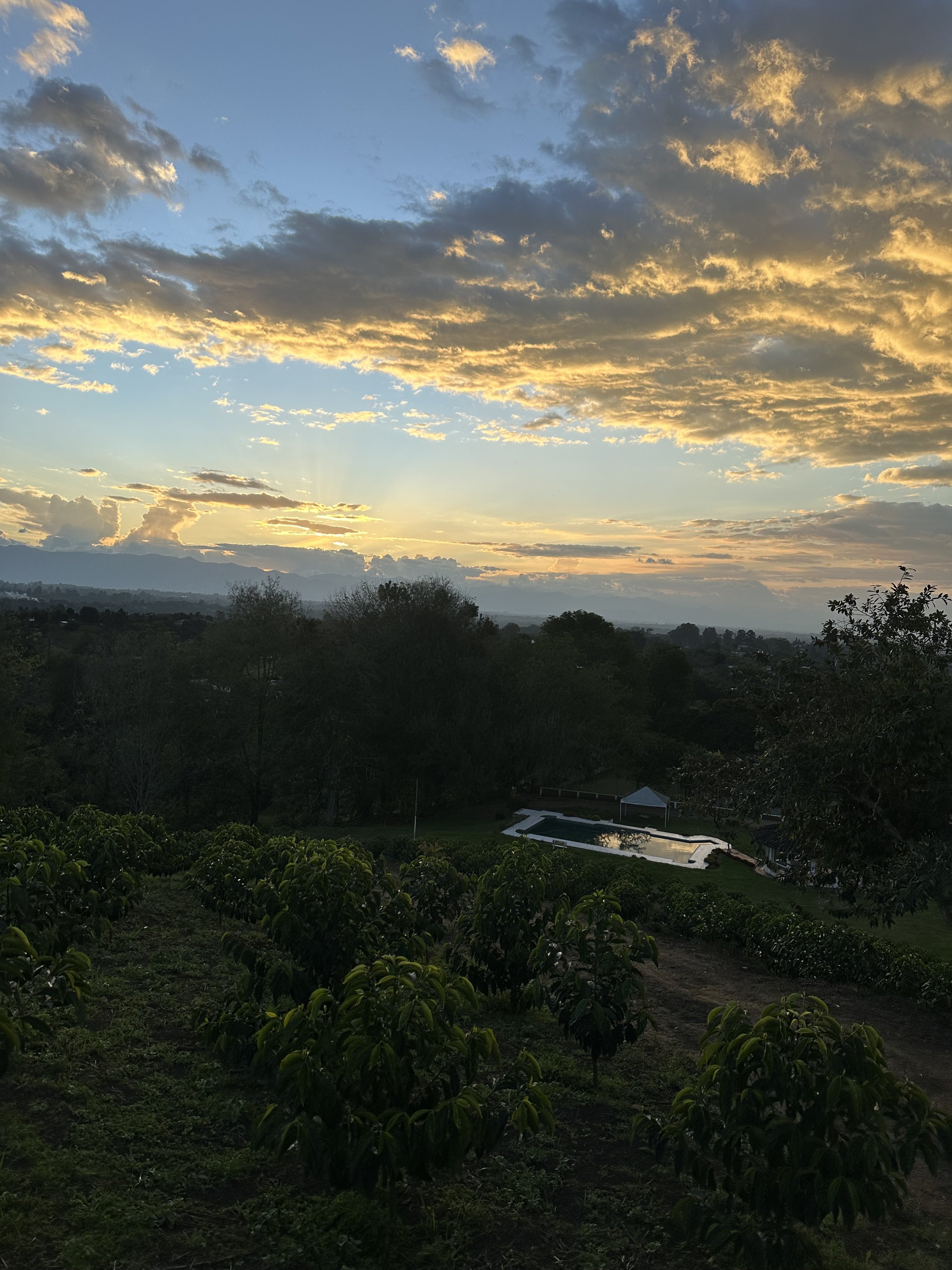 IMG_9219.jpeg