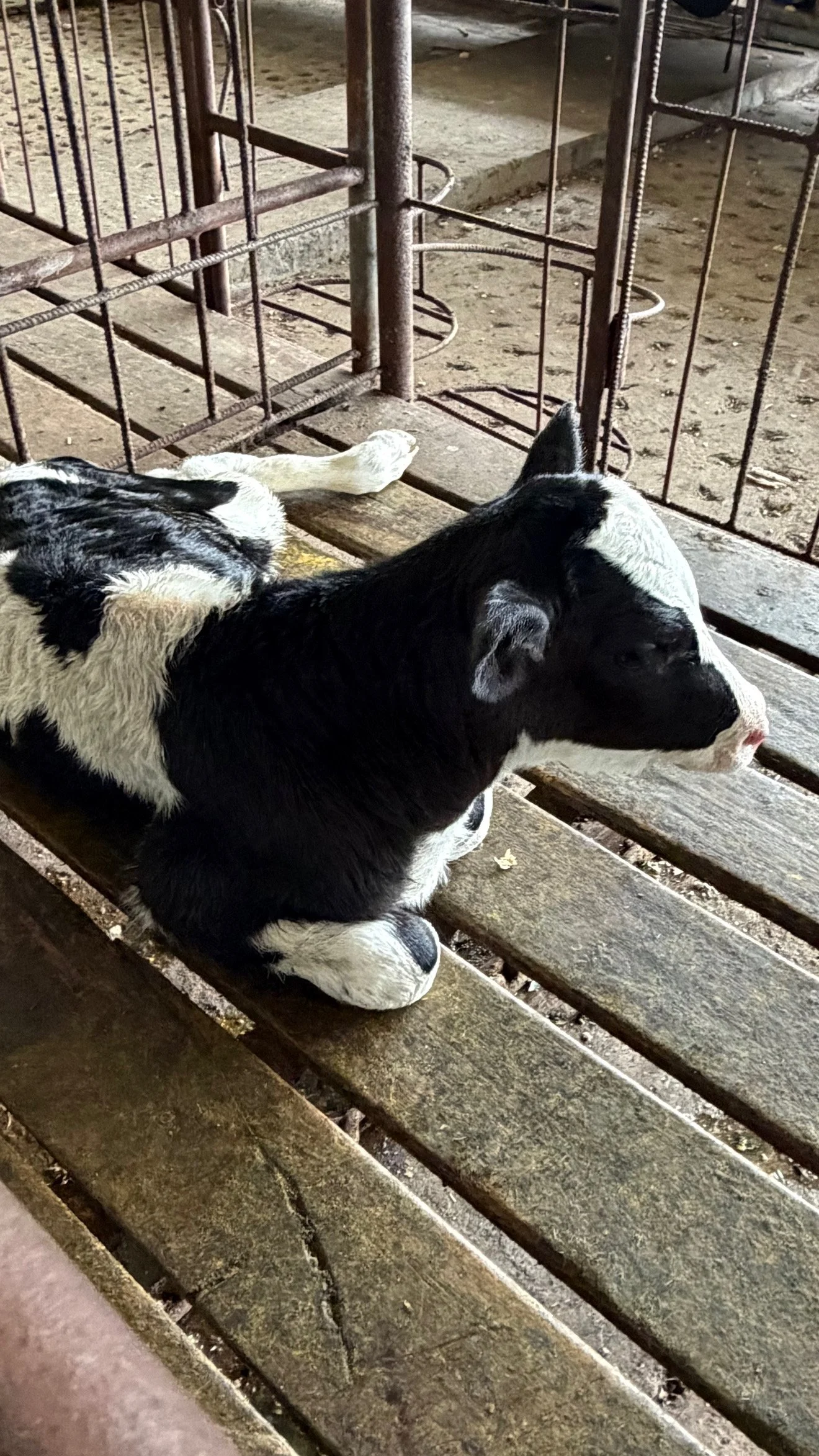 A Farm That Thinks Beyond the Harvest