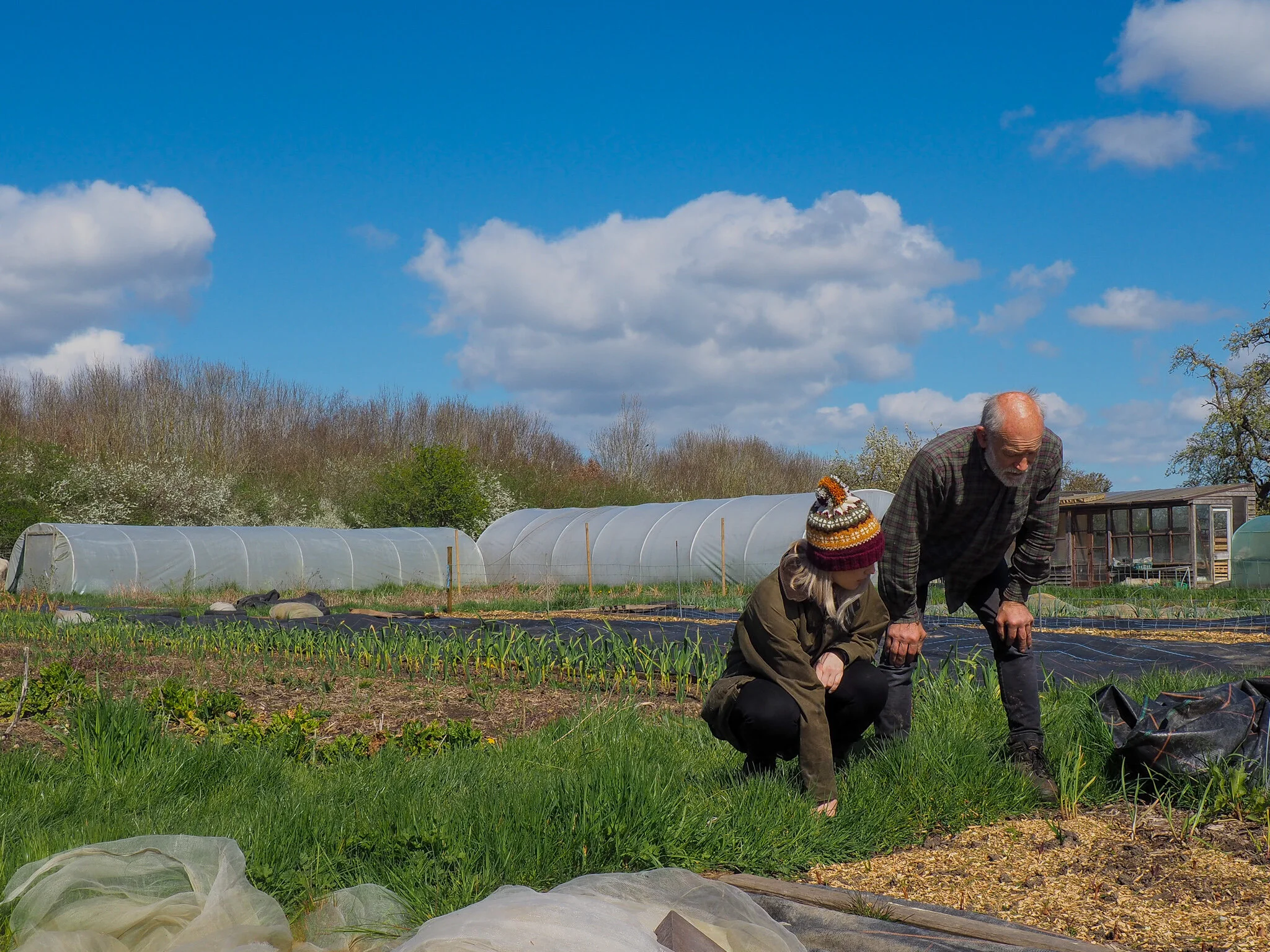 The Grower’s Perspective: Part 1
