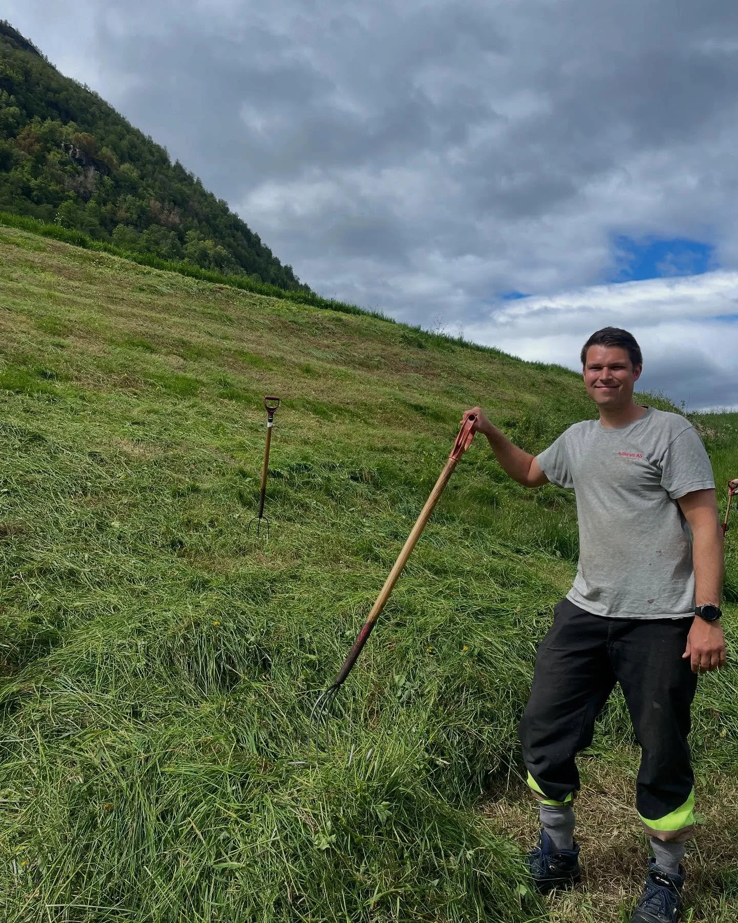 SL&Aring;TTEN

Sl&aring;tten er i gong, kanskje den tidlegaste nokon sinne? Vi sl&aring;r og rakar alle dei bratte bakkane, lite gras, mykje arbeid. Men godt for sjel og sinn!

Tenk at dette graset skal bli deilig geitemj&oslash;lk! 

#kandalysteri #