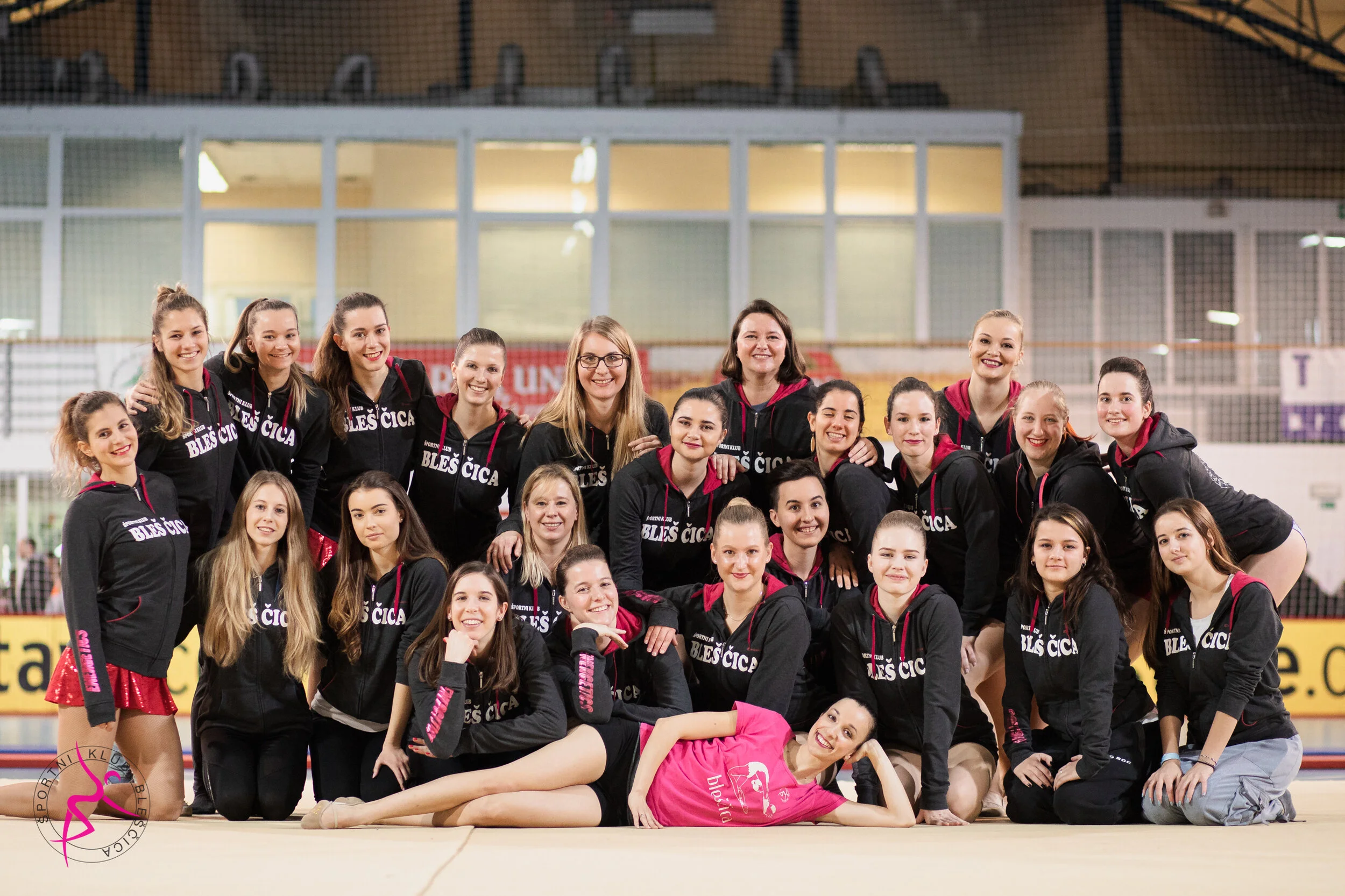 Zgodovina Bleščice