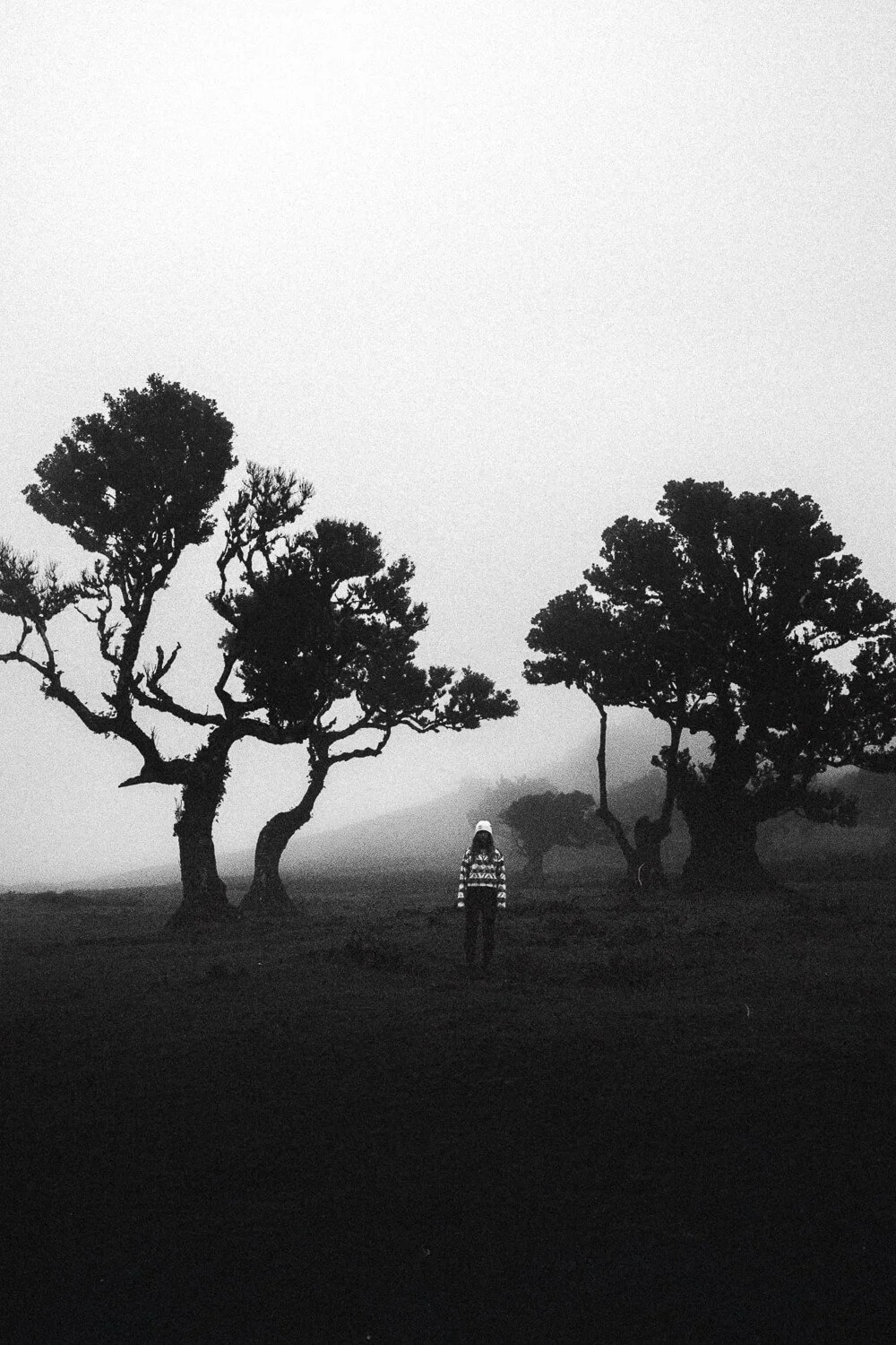 A person walking in a foggy landscape with scattered trees, depicted in black and white.