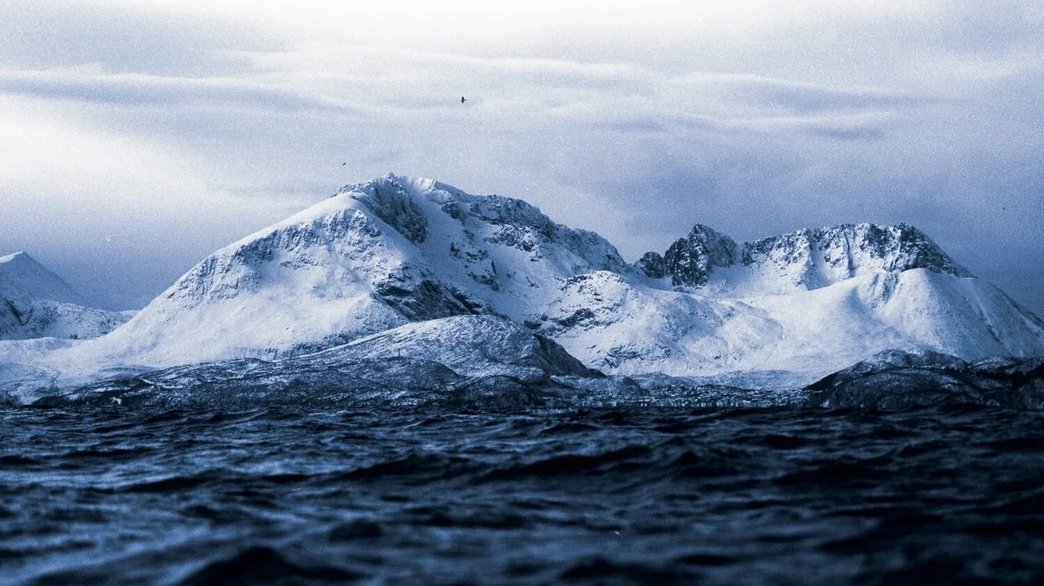 Montagnes enneigées vu depuis la mer, ciel nuageux, oiseau volant en haut.