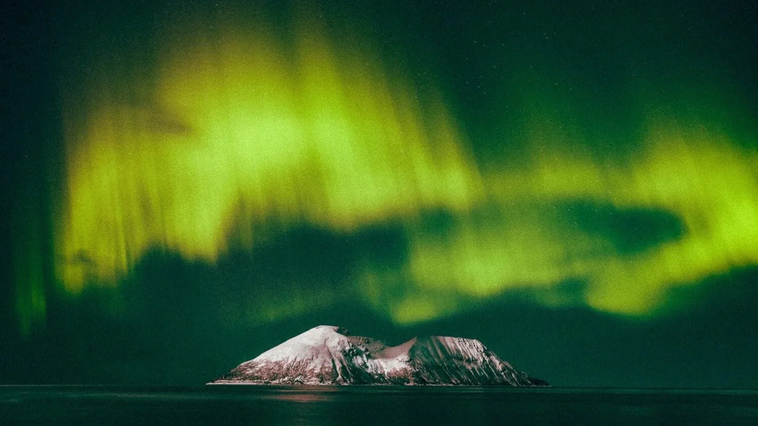 Île sous les aurores boréales vertes dans un ciel sombre.
