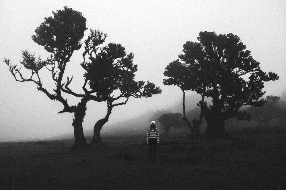 Photo en noir et blanc d'une personne debout sur un terrain sombre, entourée de trois grands arbres avec du brouillard à l'arrière-plan.