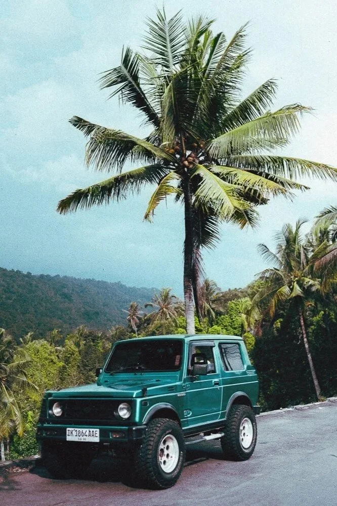 A teal off-road vehicle parked on a road beside a palm tree with a lush tropical landscape and mountains in the background.